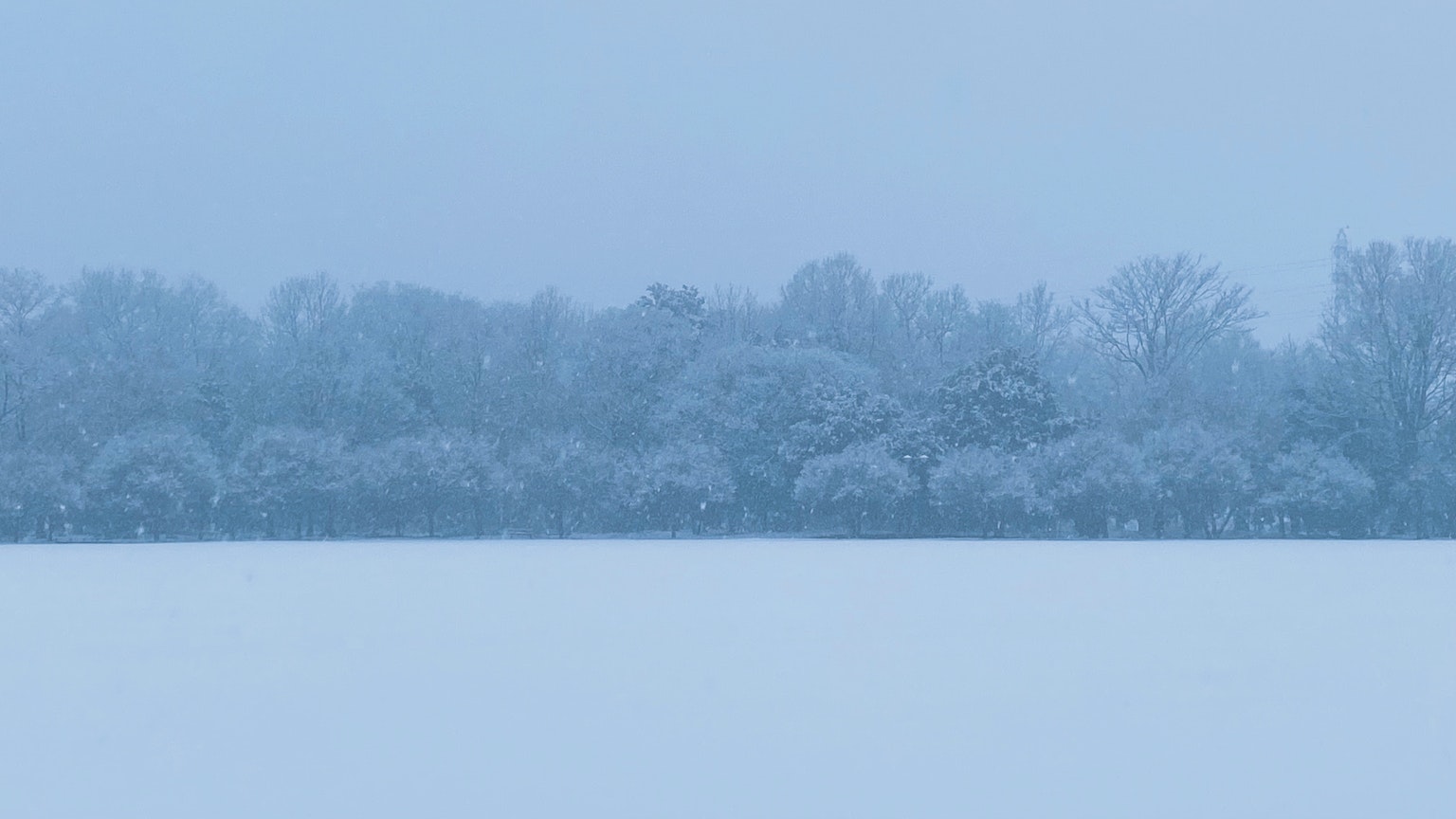 Una escena invernal tranquila con un paisaje cubierto de nieve y luz suave