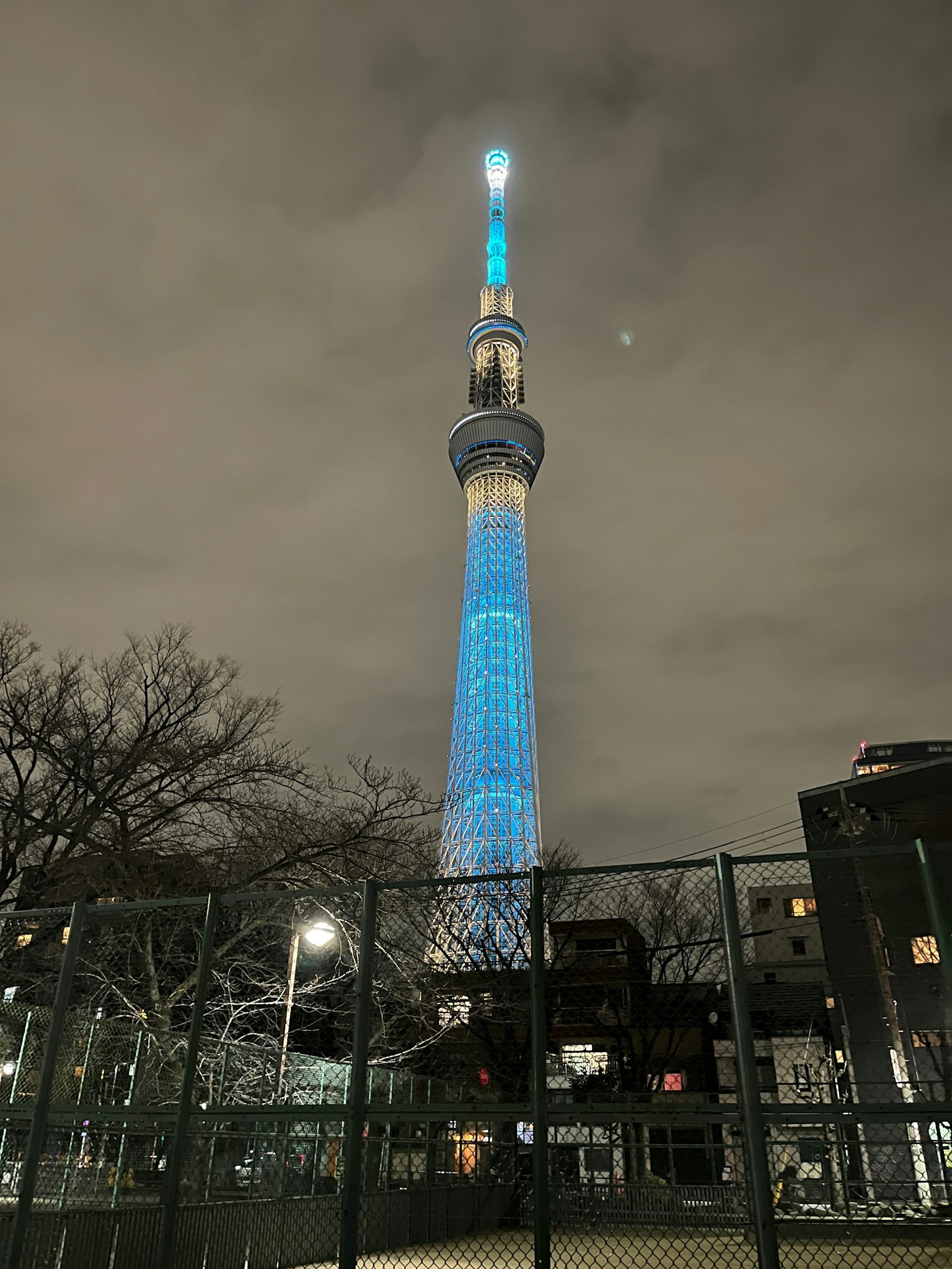 Tokyo Skytree de noche con iluminación azul distintiva