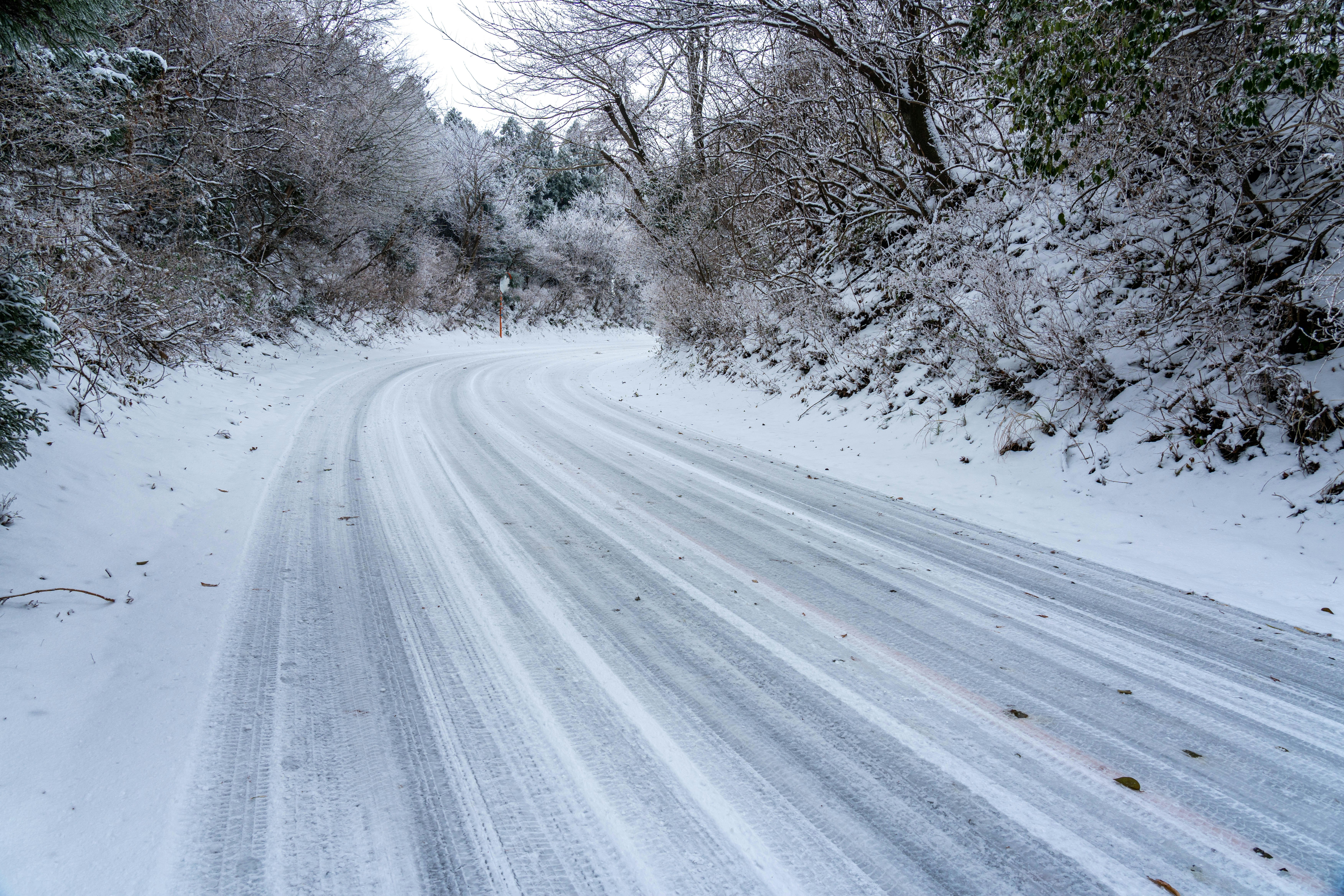雪の森を走るカーブした道路
