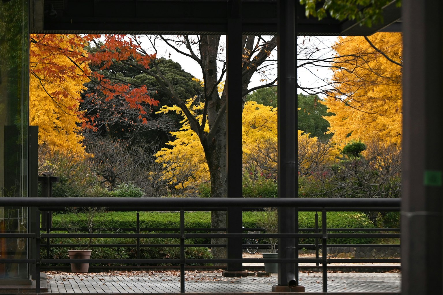 秋季公園景色與五彩繽紛的樹木