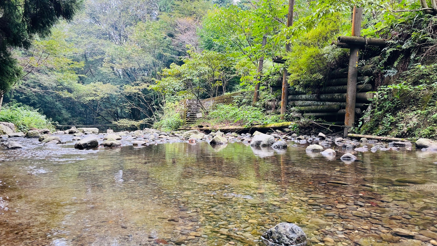 Malersicher Blick auf einen klaren Fluss, umgeben von üppigem Grün
