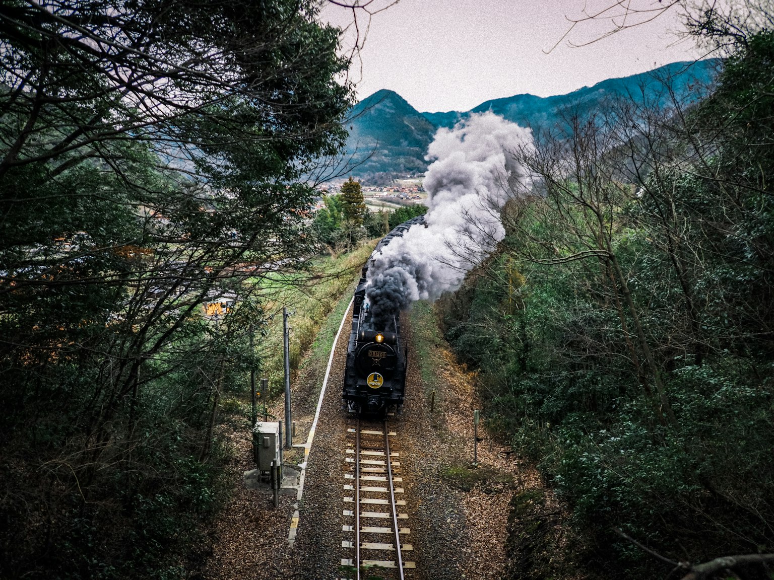 Locomotora de vapor viajando a través de un área boscosa con humo