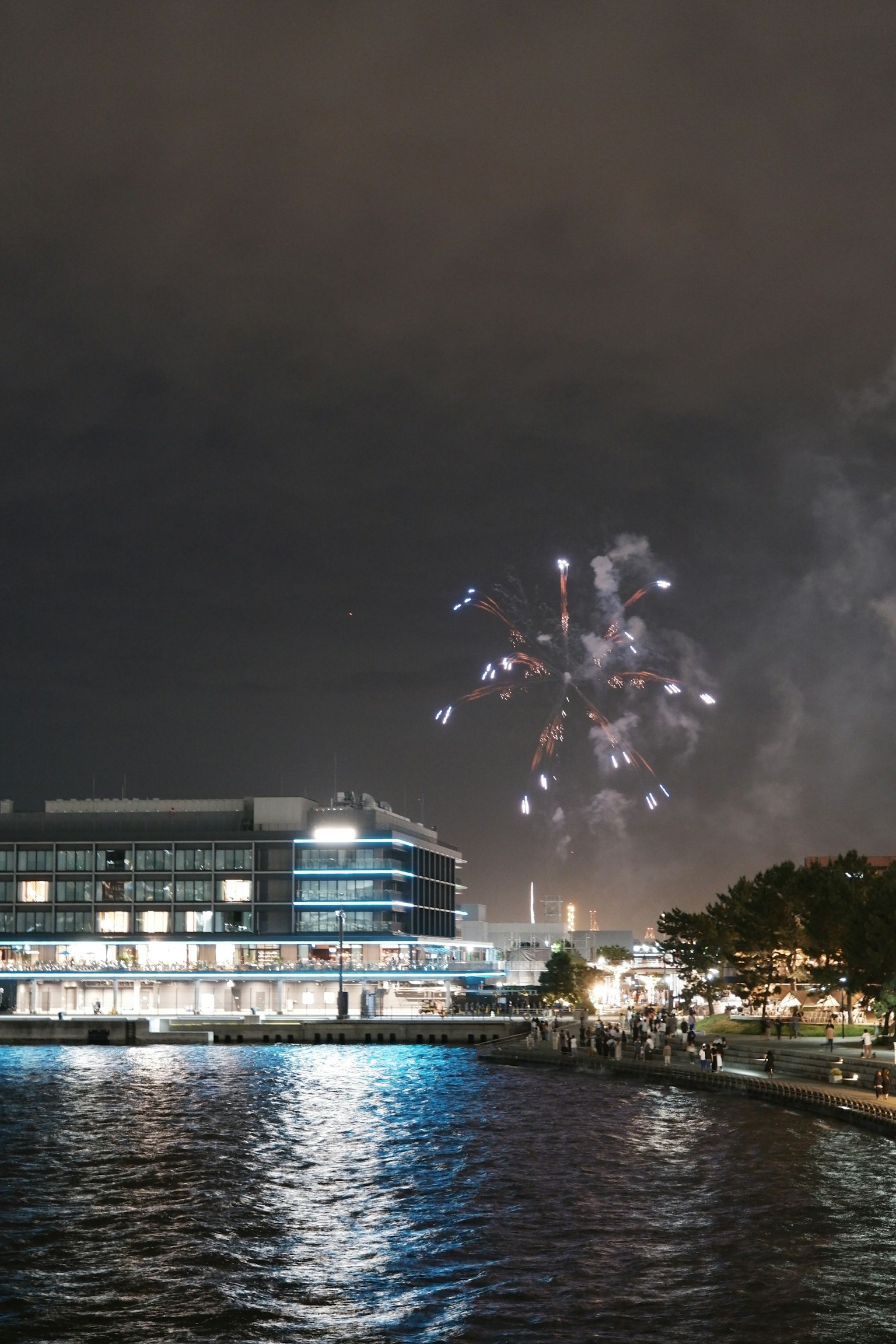 Spettacolo di fuochi d'artificio su un fiume di notte con un edificio moderno in vista