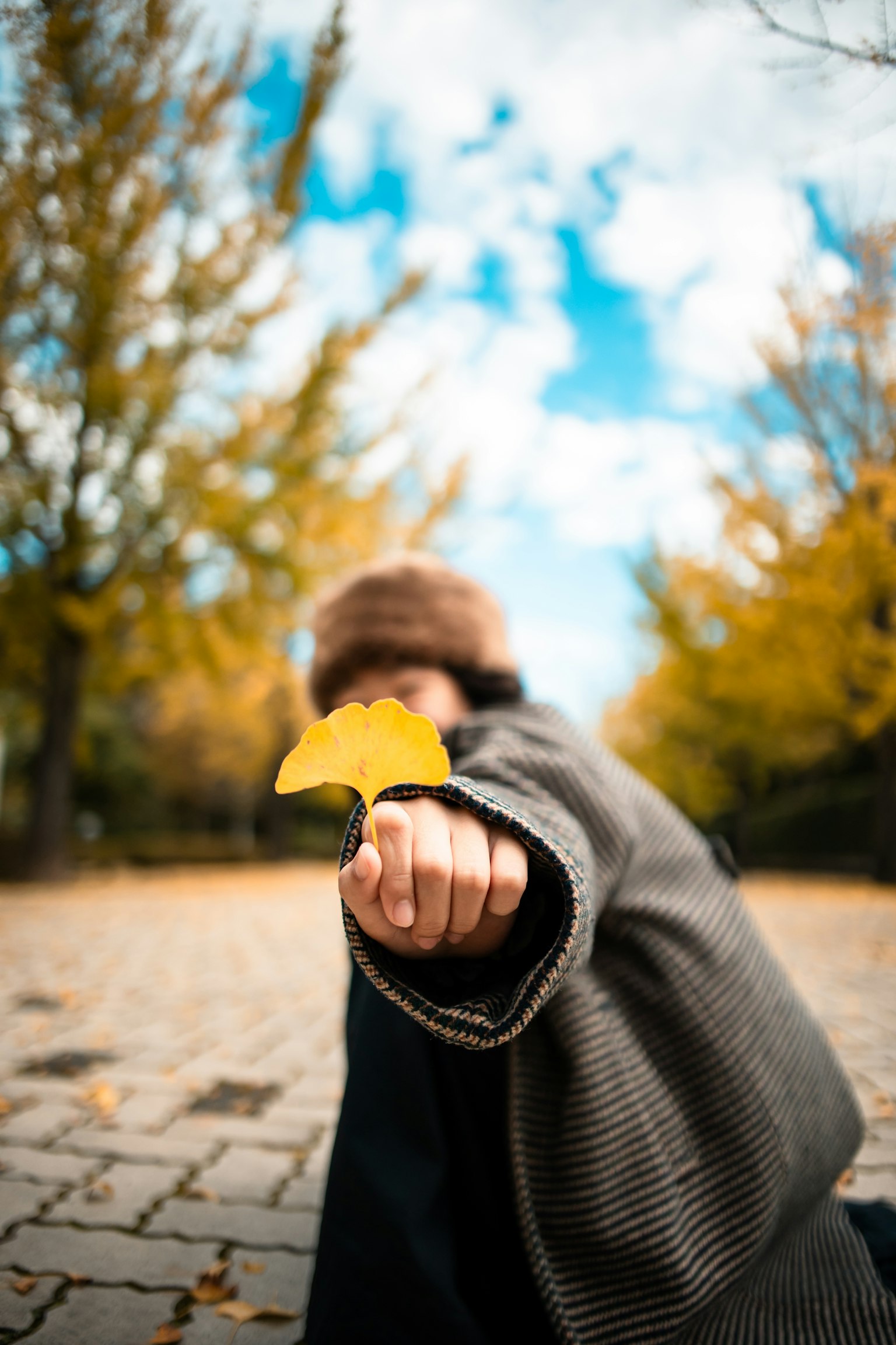 Person holding a yellow leaf in a park during autumn with trees in the background