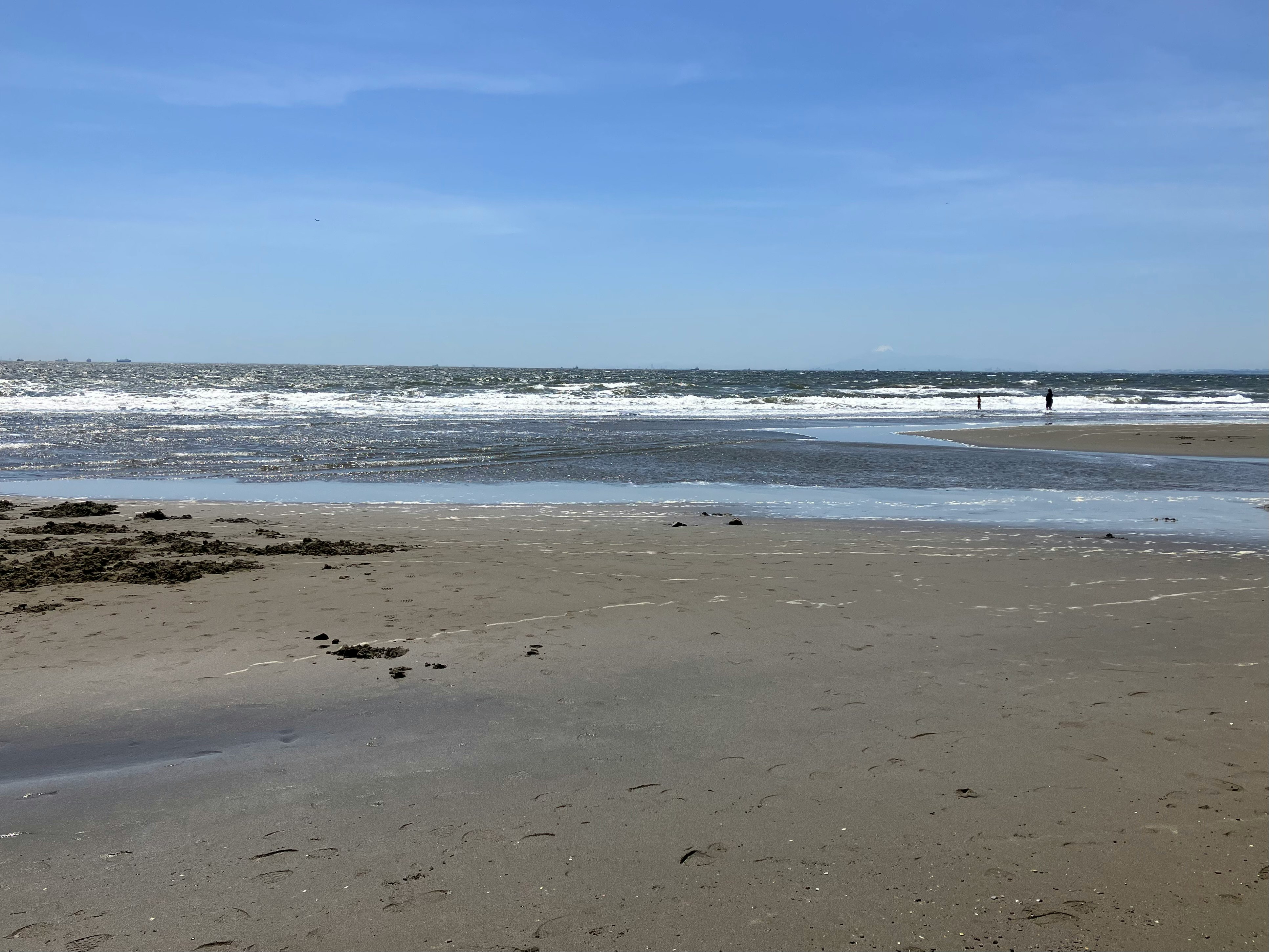 tidal retreat wet sandy beach with an open sea horizon