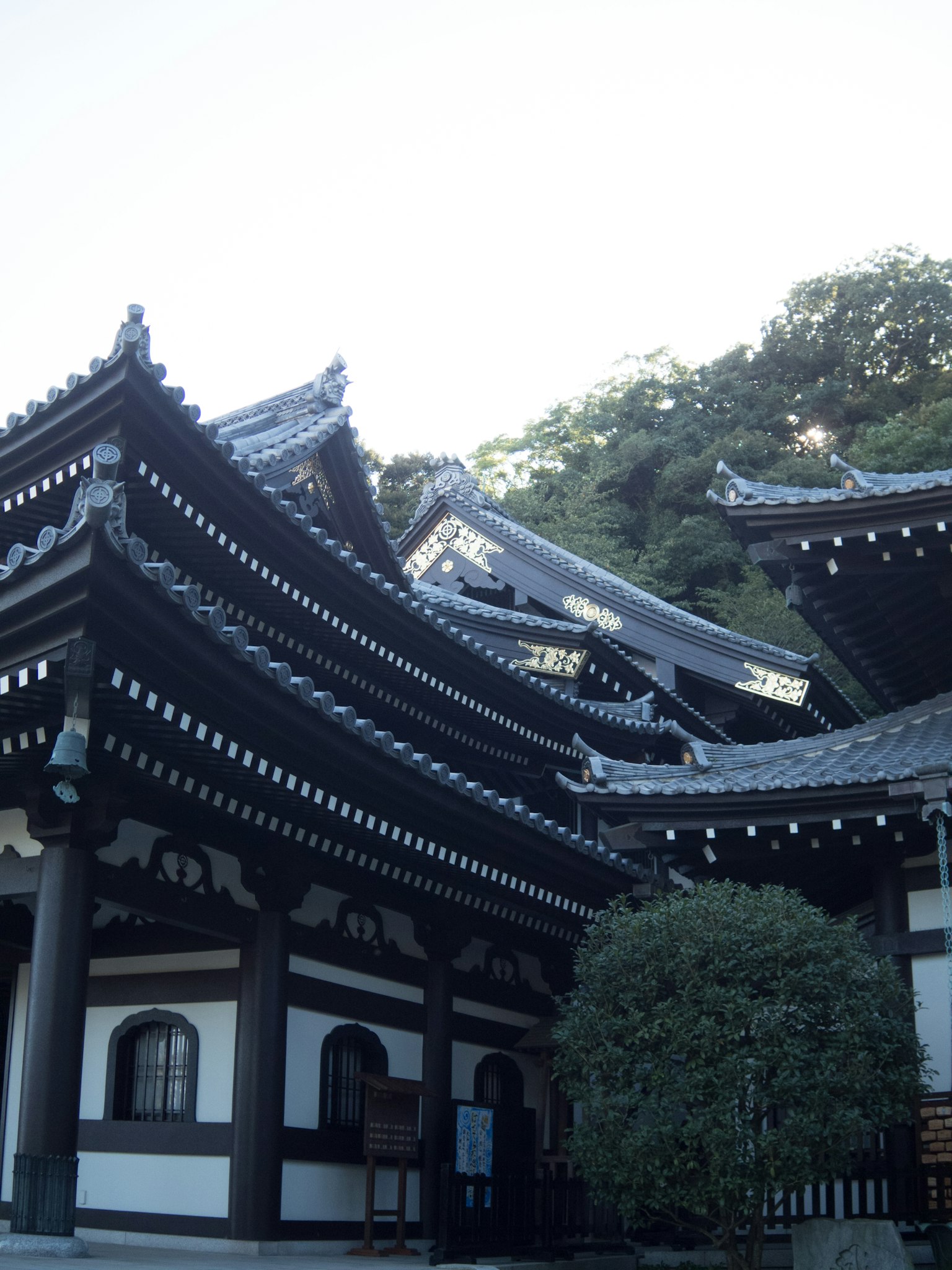 美丽的传统日本寺庙建筑与复杂的屋顶