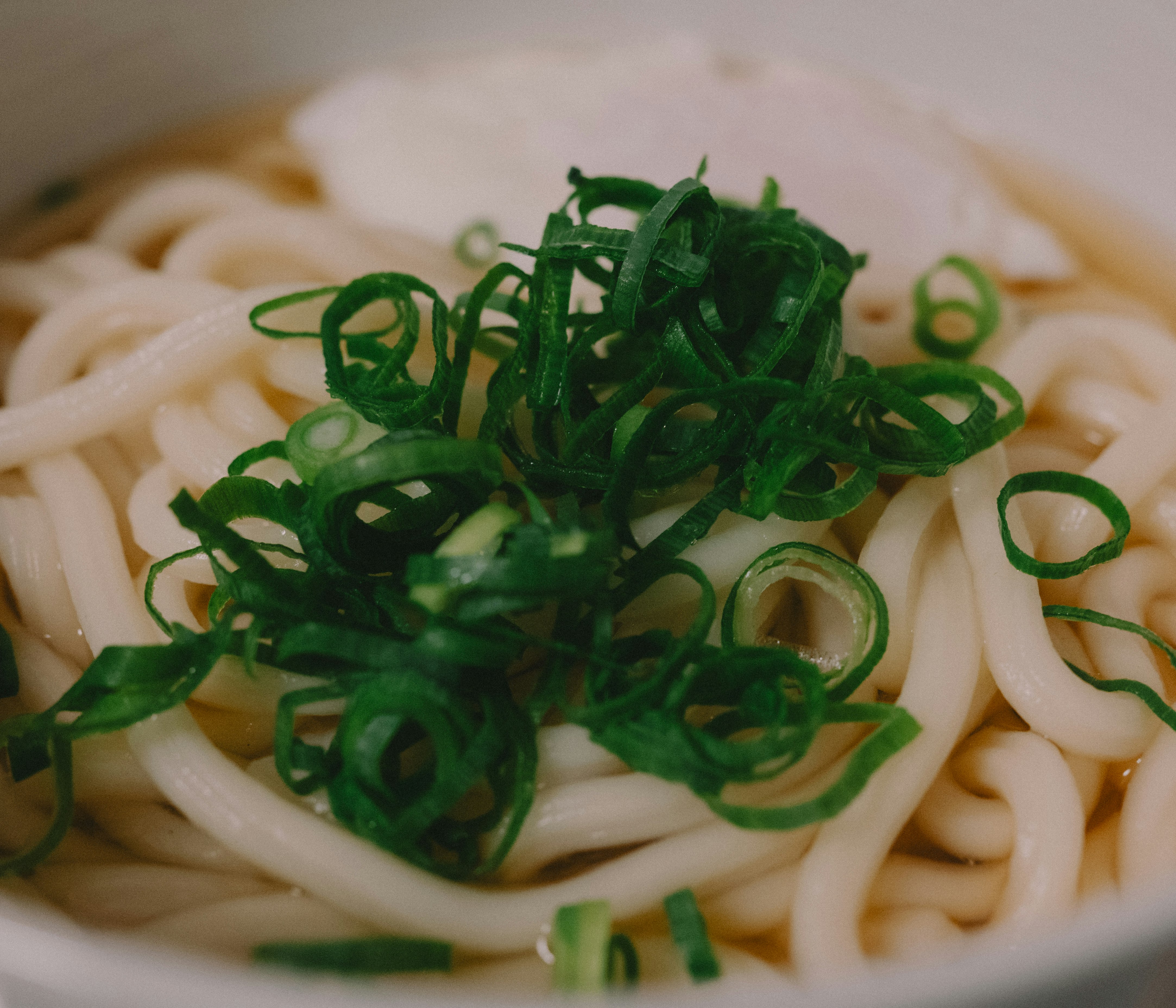 白色烏龍麵碗，上面鋪著切碎蔥花