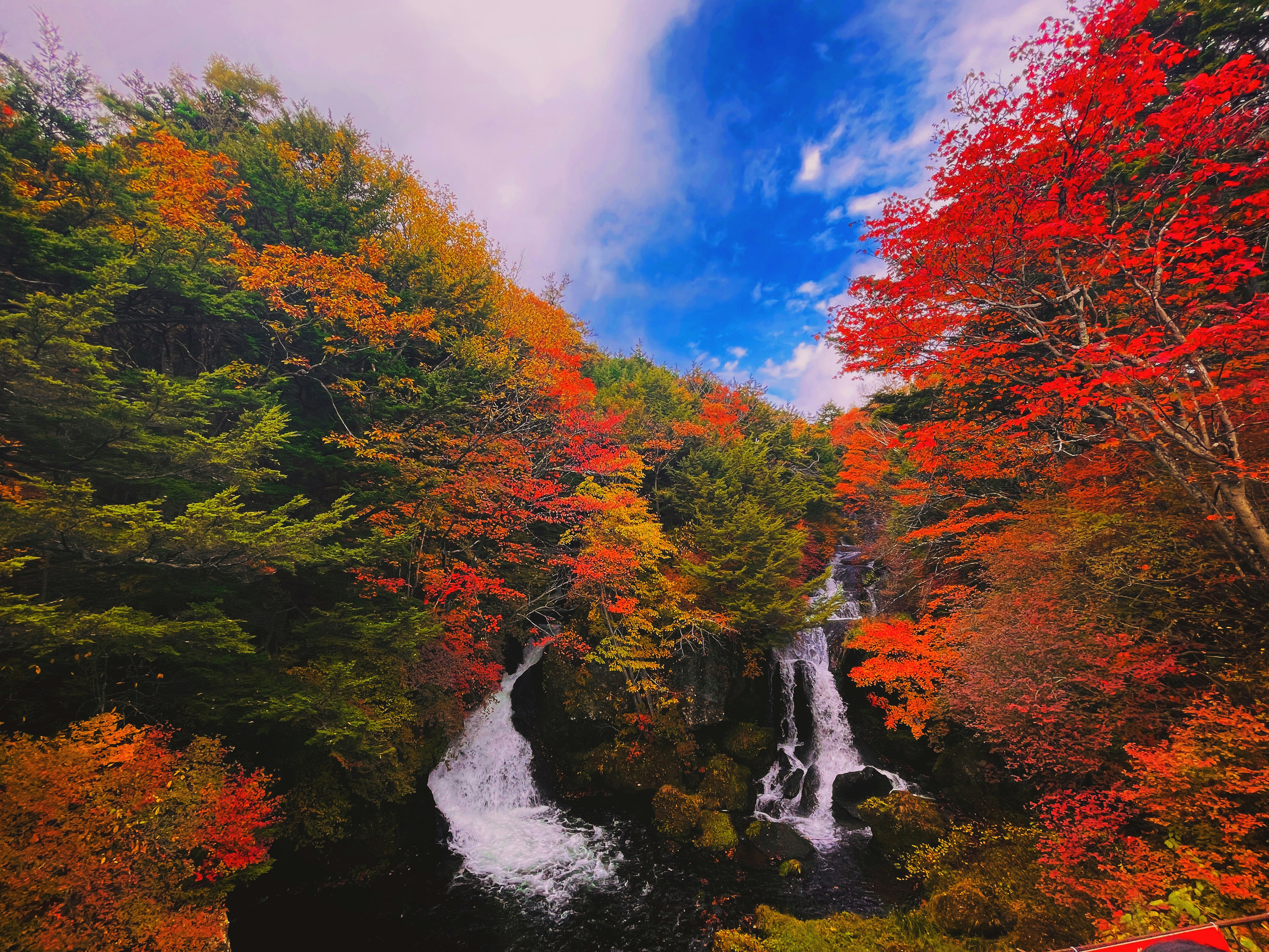 紅葉に囲まれた滝の流れ