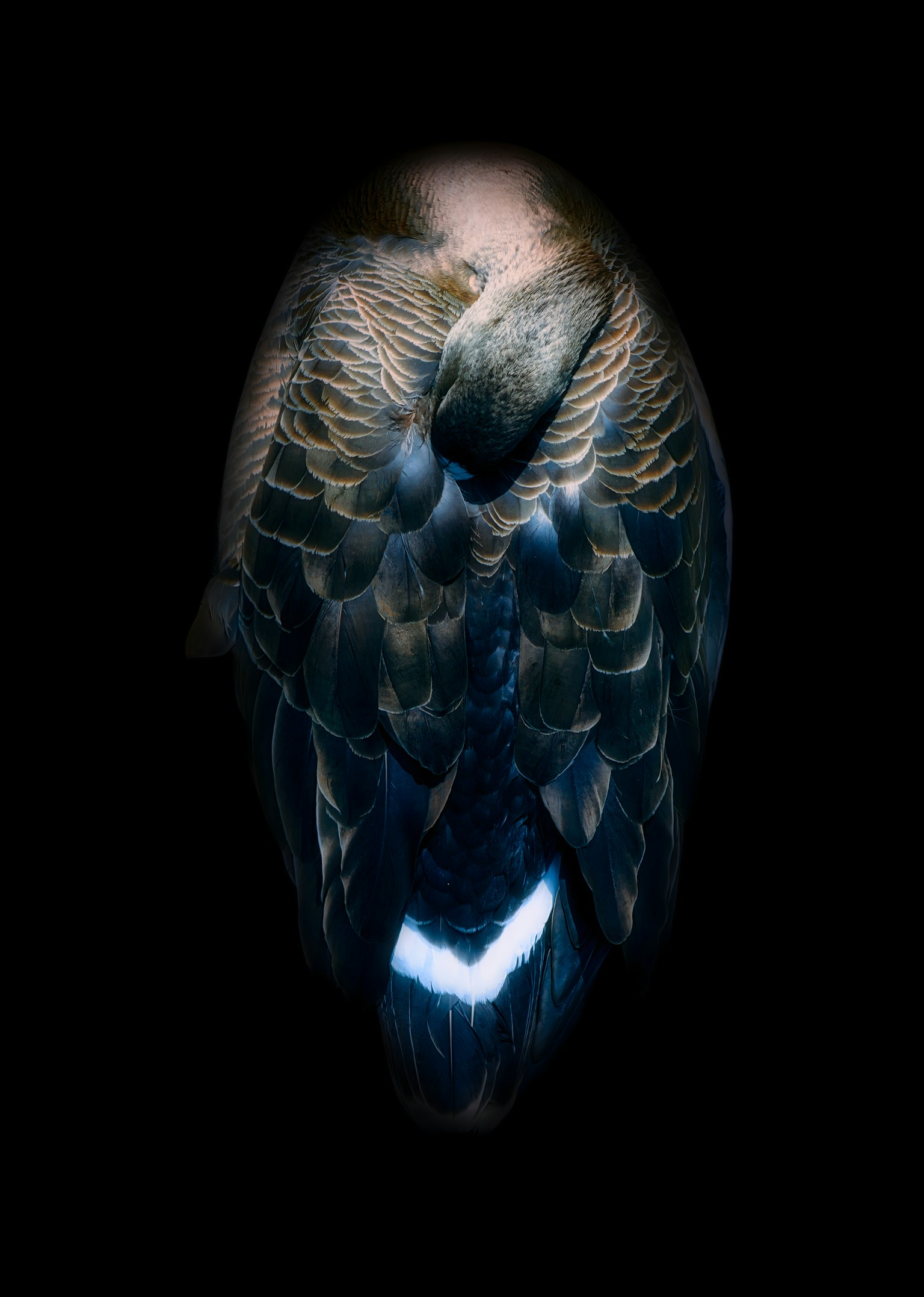 photo-3gQJQfcPjdfmfeQTyPzE-image