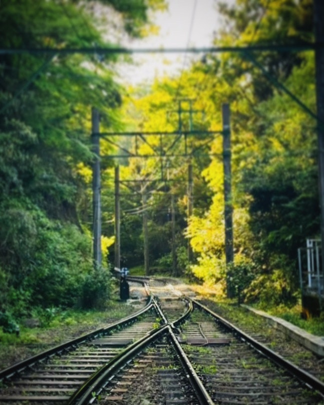 新緑の中を伸びる線路の奥行き