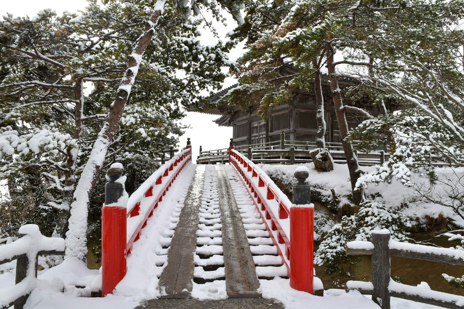 雪覆蓋的紅橋通往被樹木環繞的寧靜寺廟