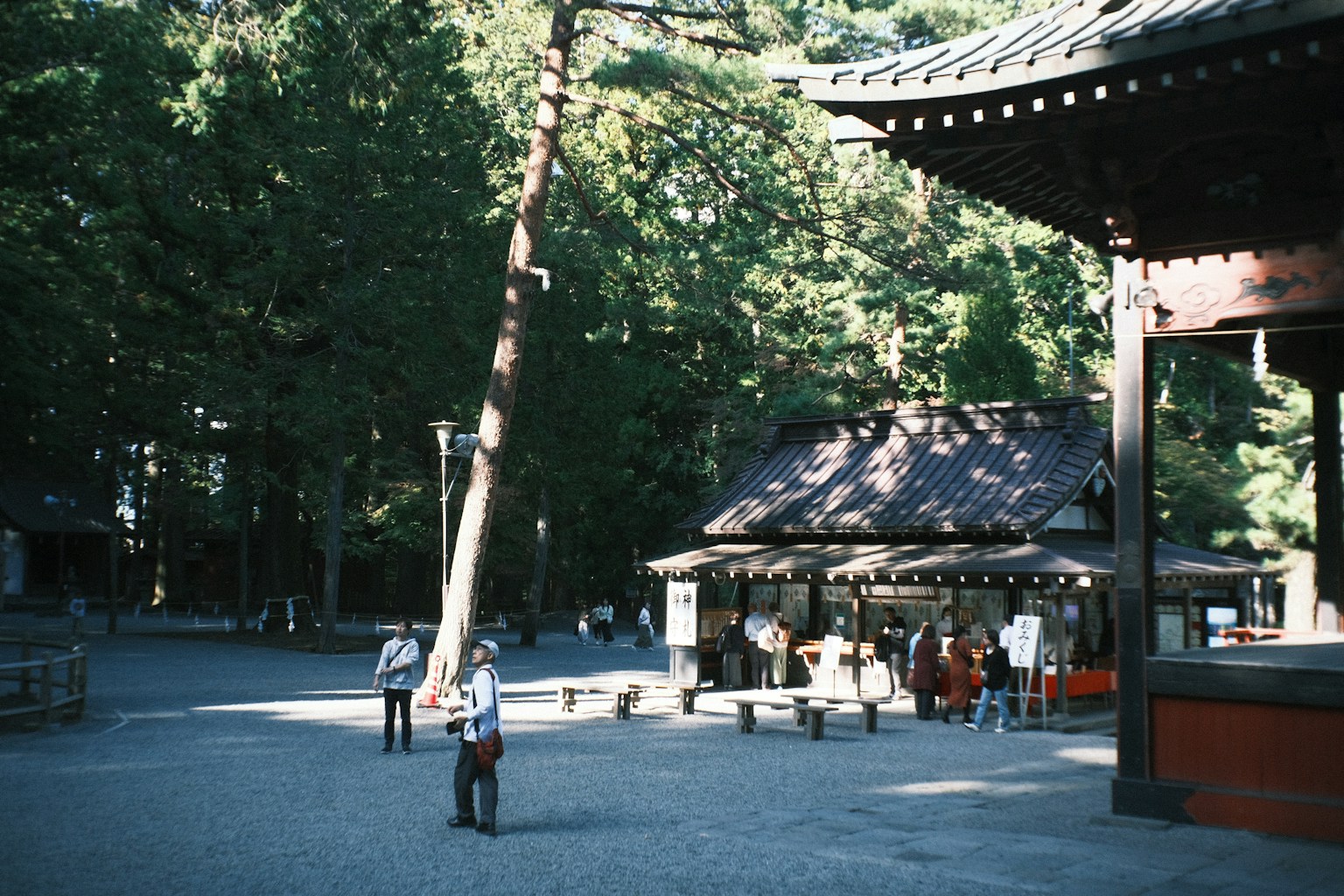 photo-3i6UpDsRSilCo3i4KPJC-image