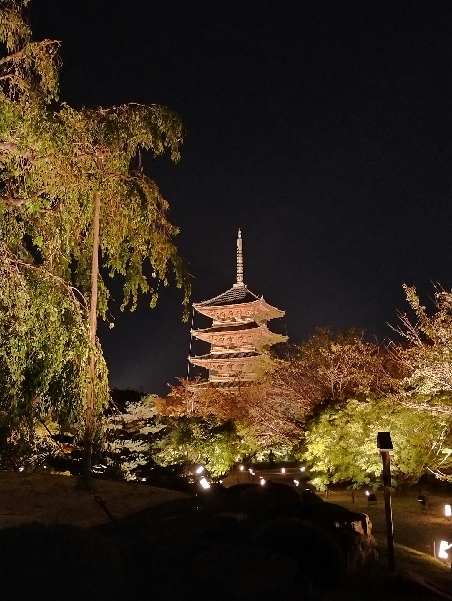 Fünfstöckige Pagode bei Nacht beleuchtet umgeben von Bäumen