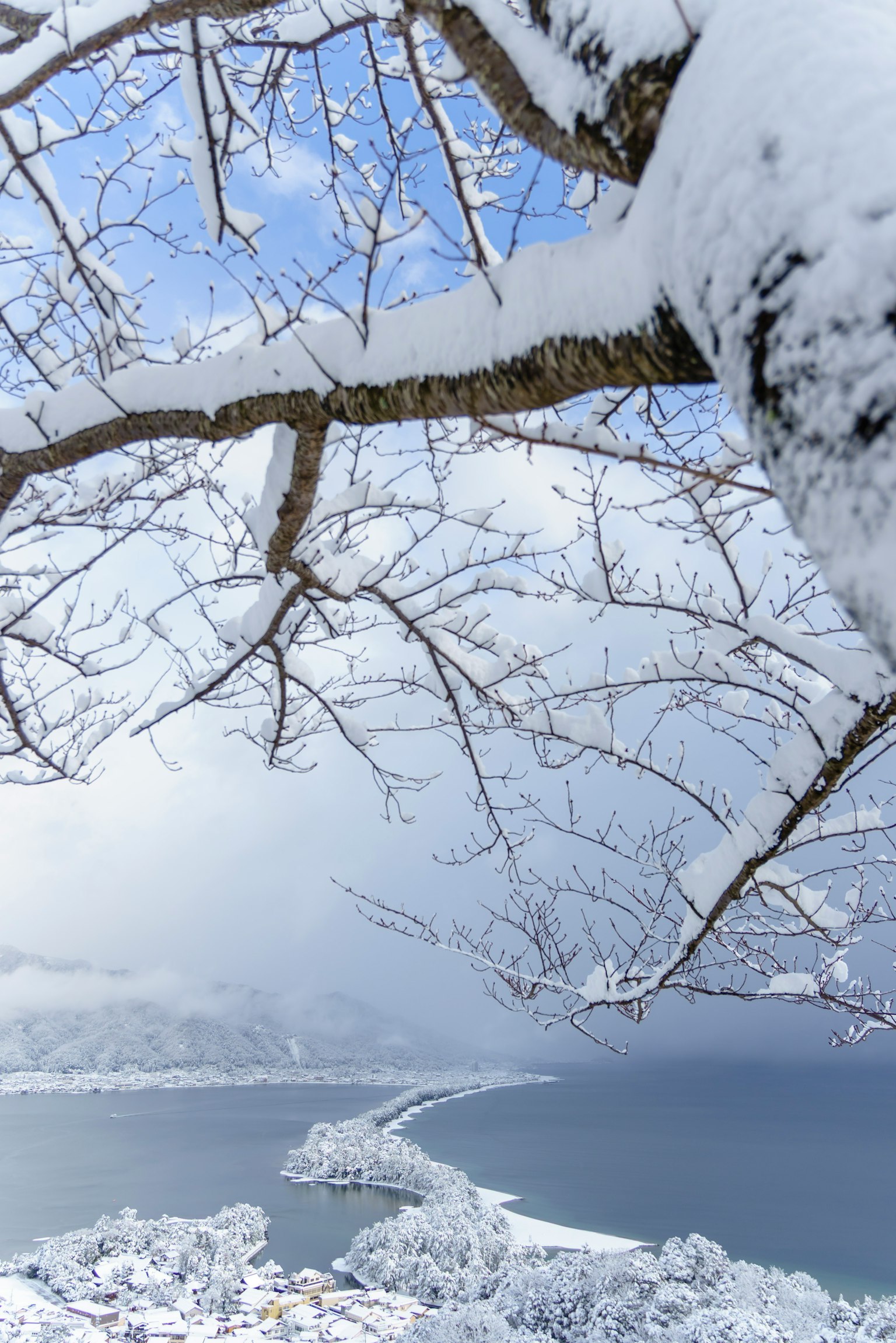 被雪覆蓋的樹枝與湖泊及山脈的景色