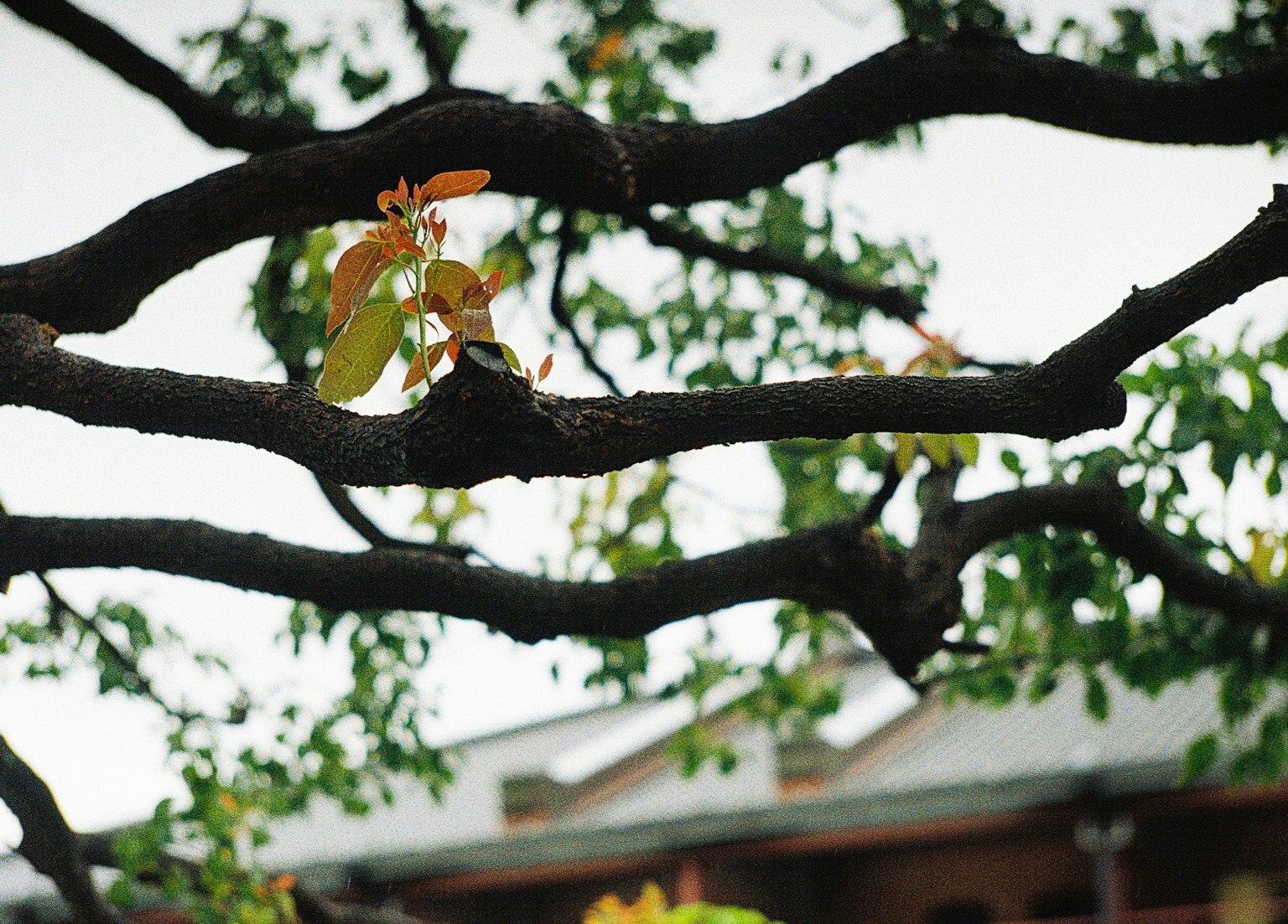 photo-3jBhkXKAdniXXUVijSYj-image