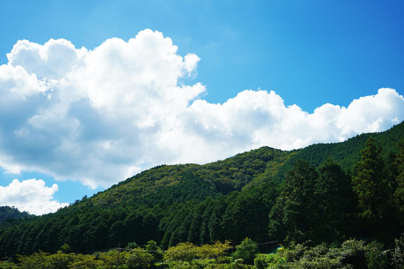 푸른 하늘과 흰 구름 아래 울창한 녹색 산의 경치
