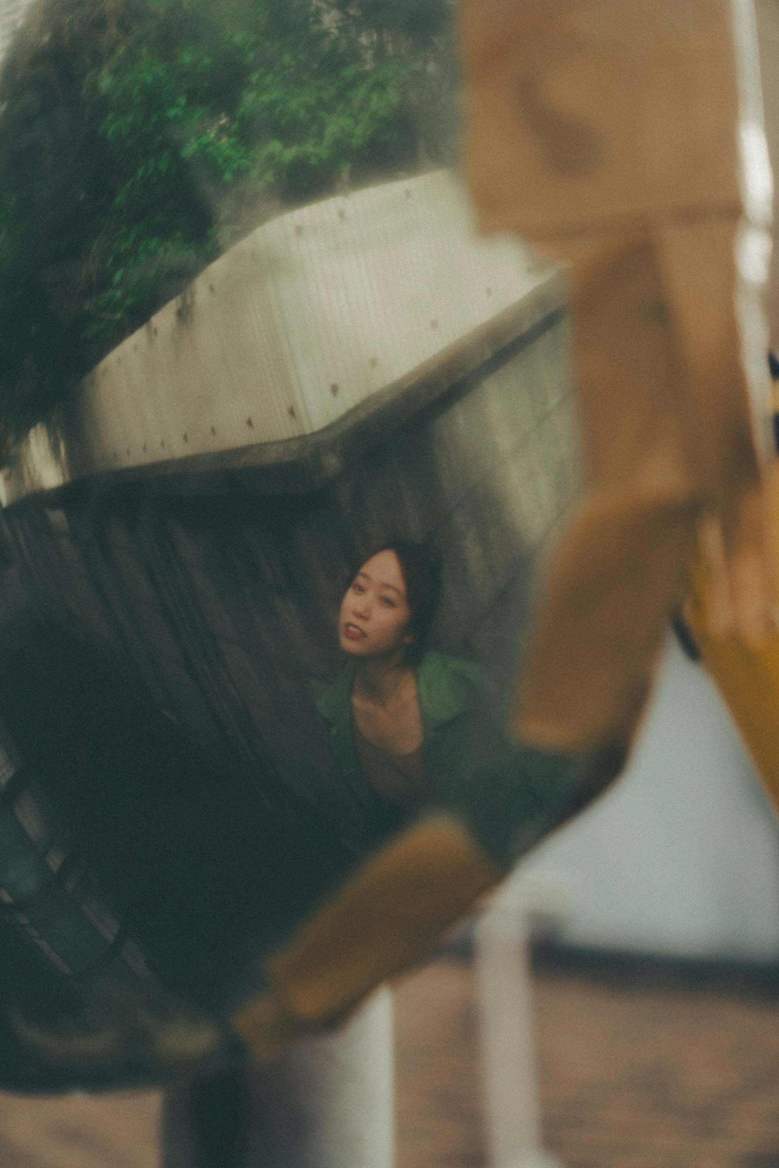 곡면에 비친 여성과 배경의 녹색 나무들