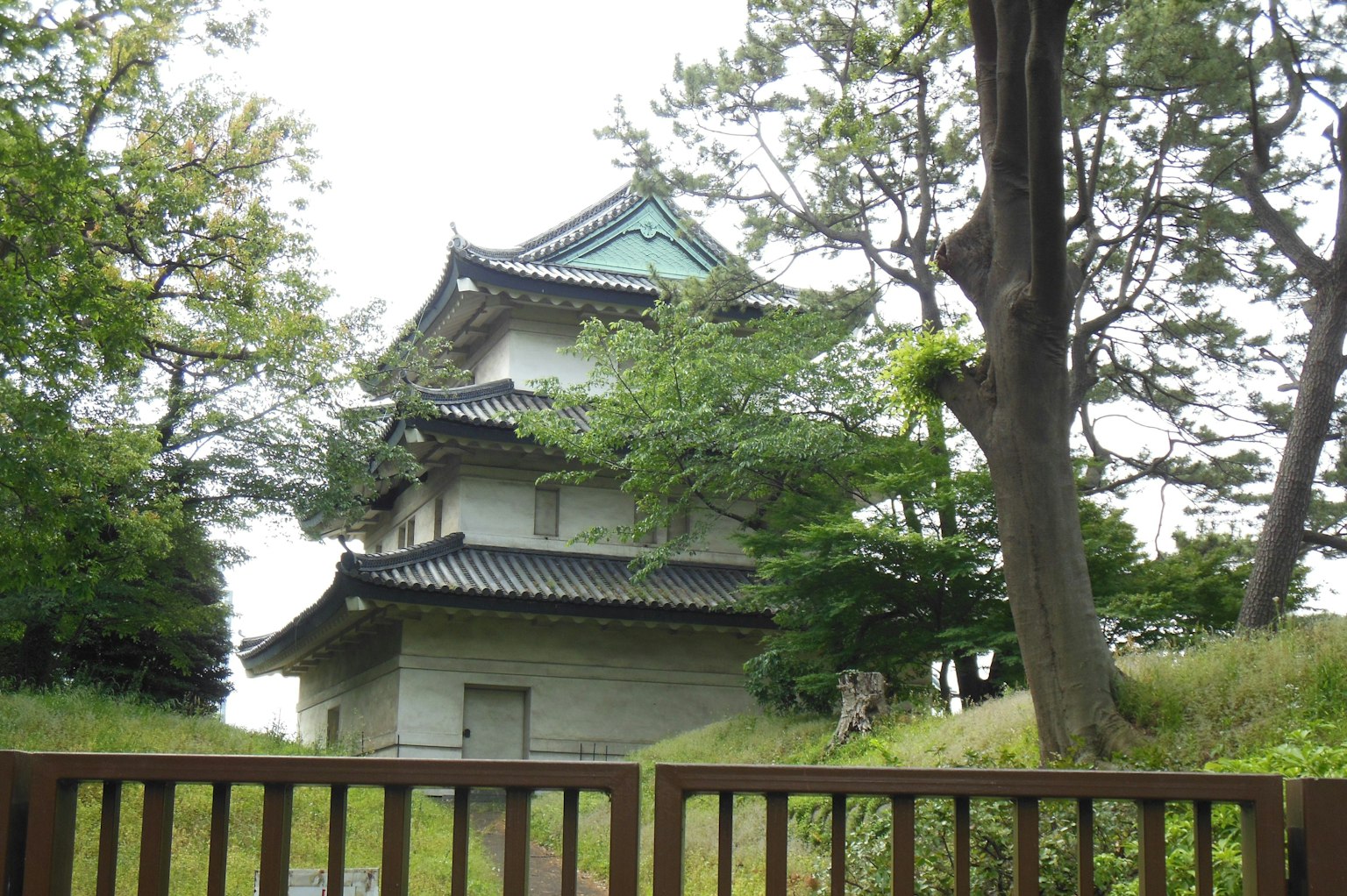 被绿色树木环绕的传统日本建筑