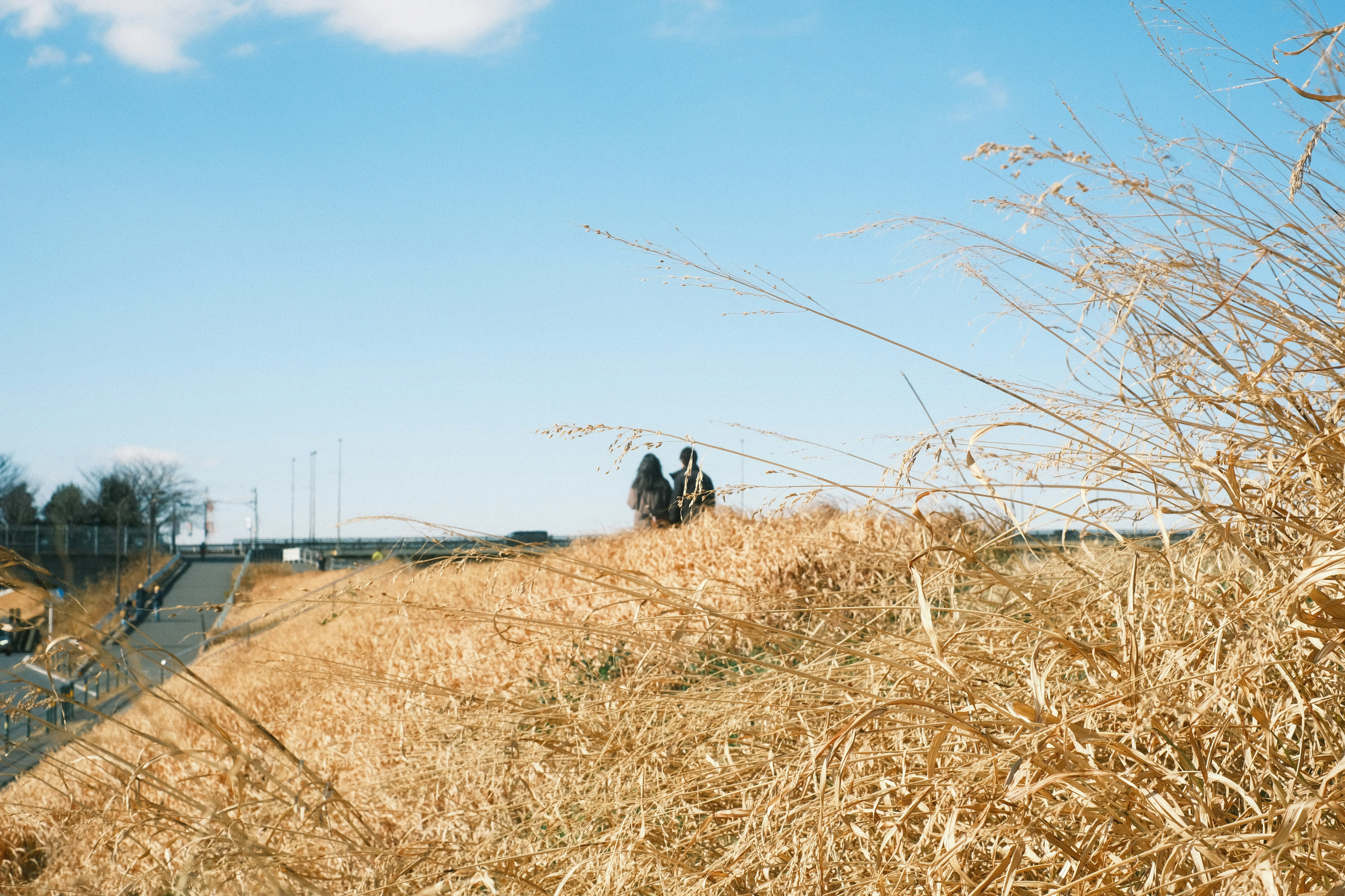 Two people standing in a dry grass field under a blue sky