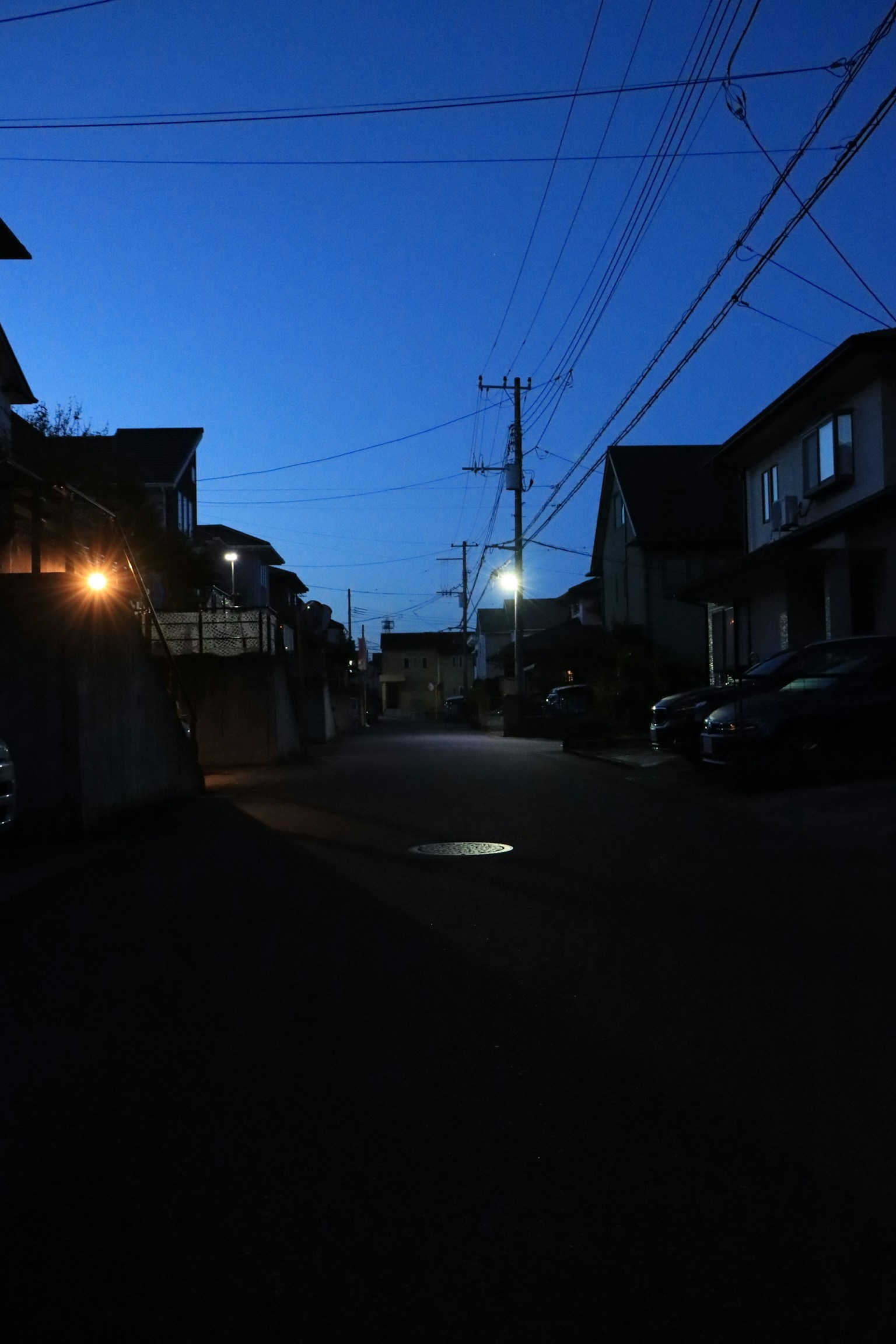 Strada residenziale tranquilla al crepuscolo con lampioni che diffondono una luce soffusa sulle case