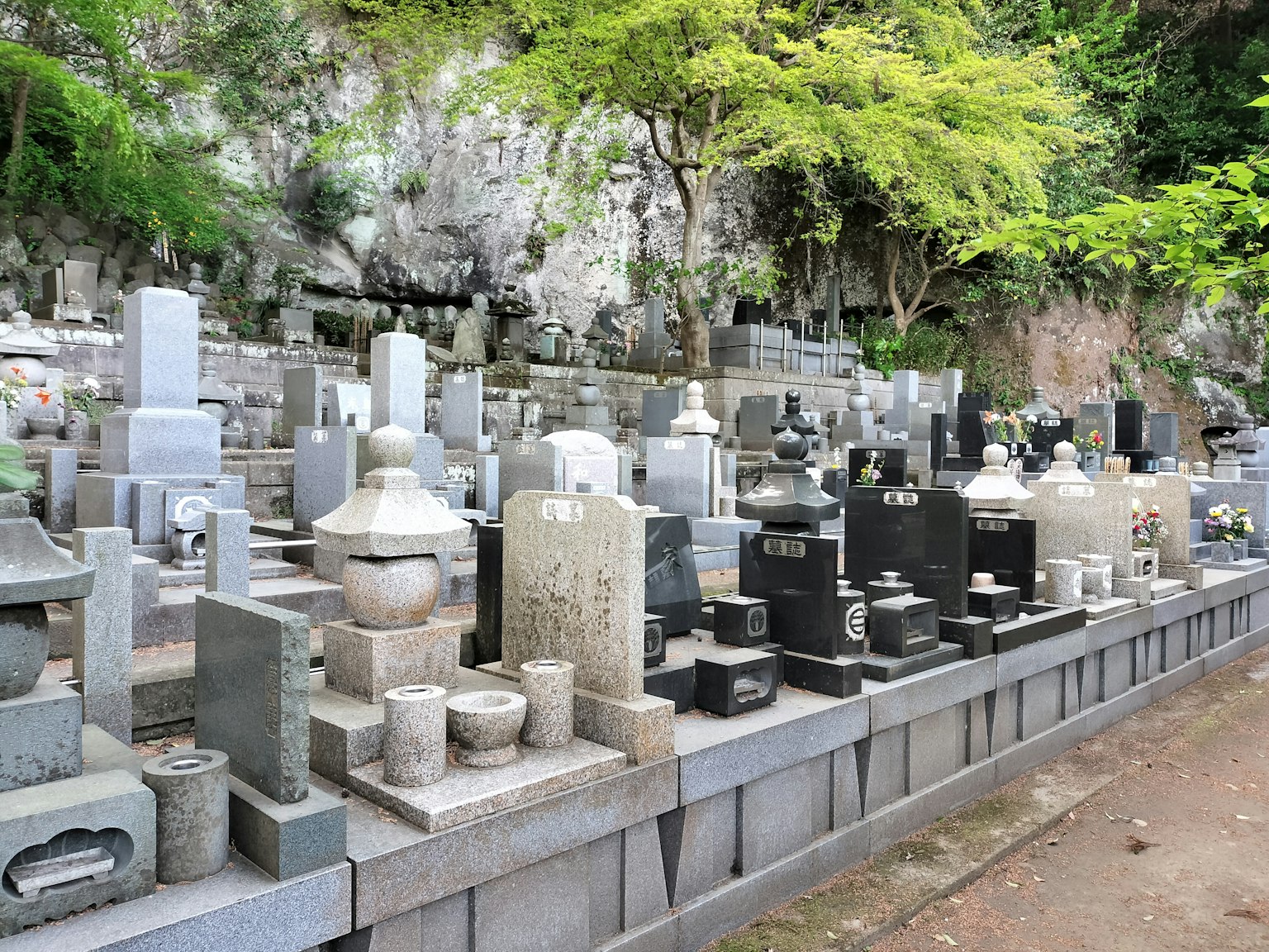 Scène de cimetière sereine avec des pierres tombales de différentes couleurs alignées entourées d'arbres verts