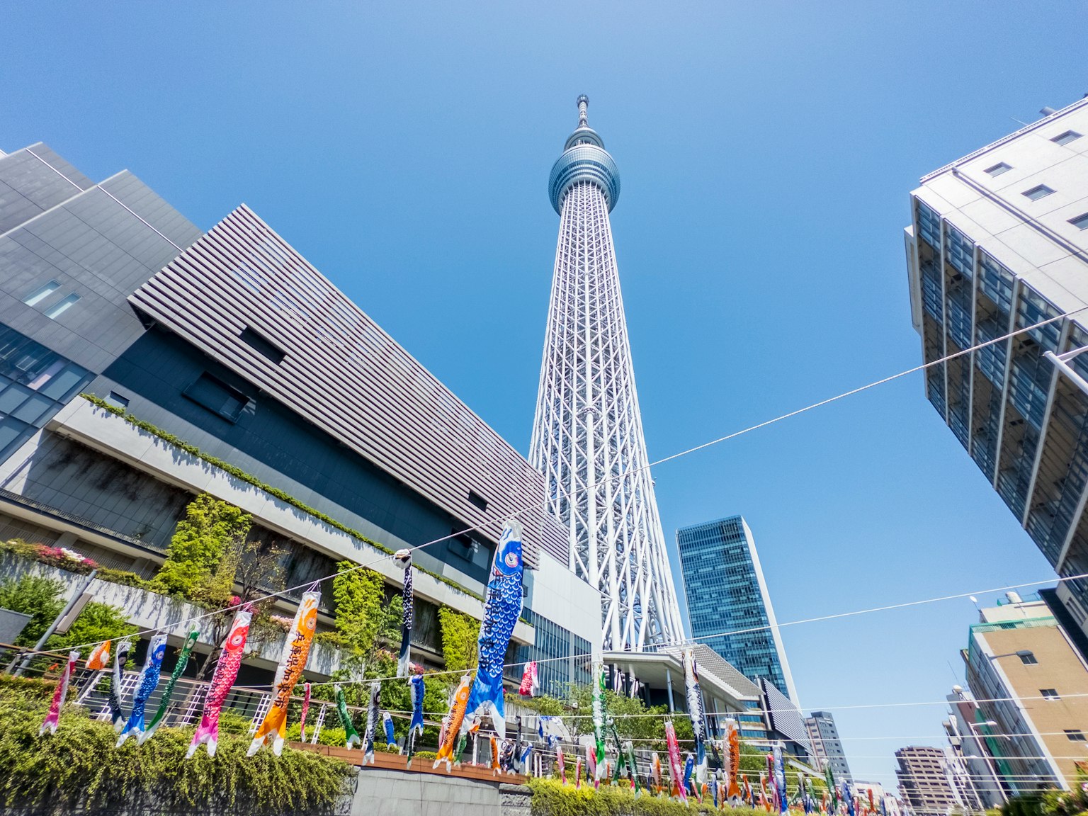 東京天空樹高聳於現代建築之上，背景是晴朗的藍天