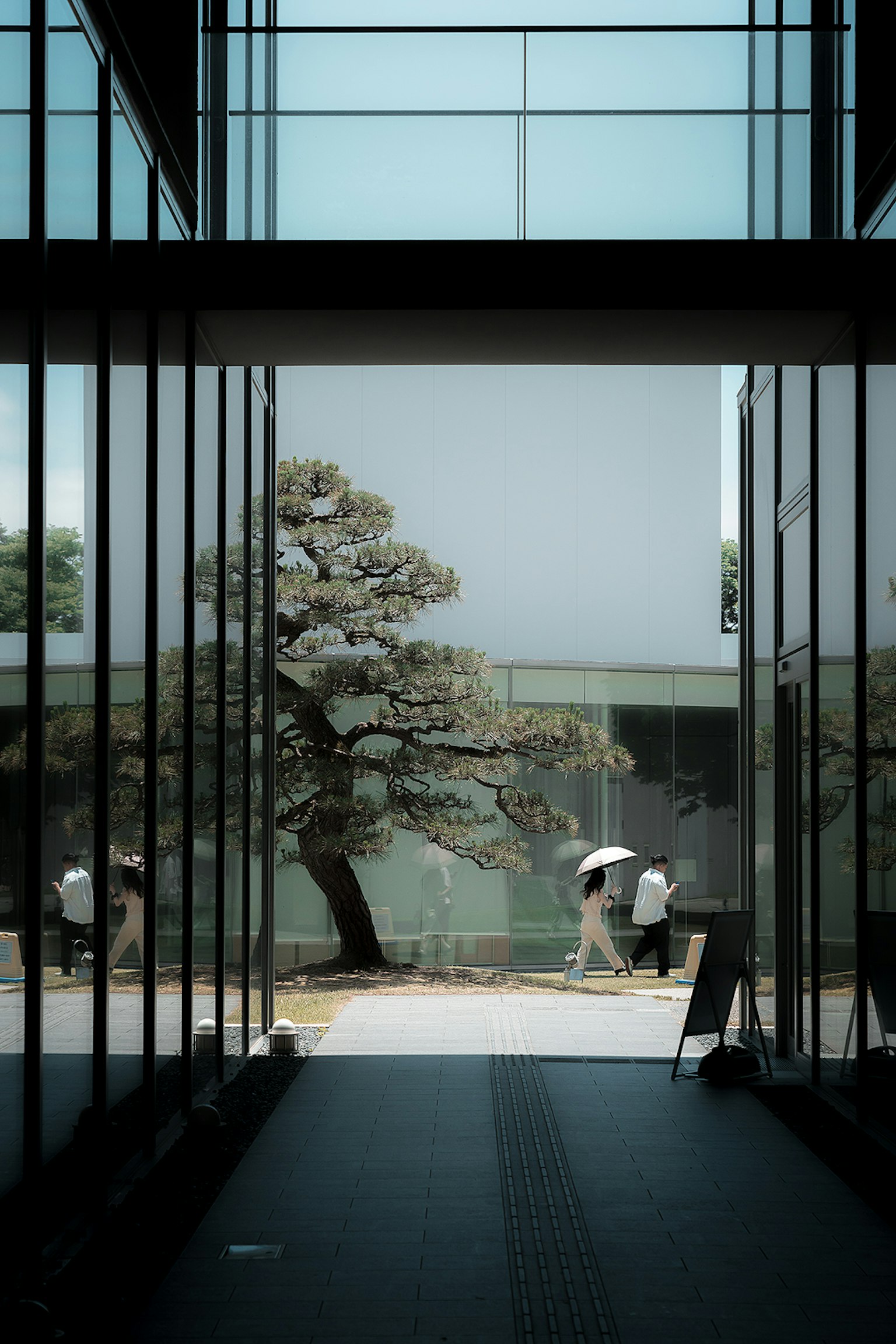 View through a glass corridor featuring a tree and silhouettes of people