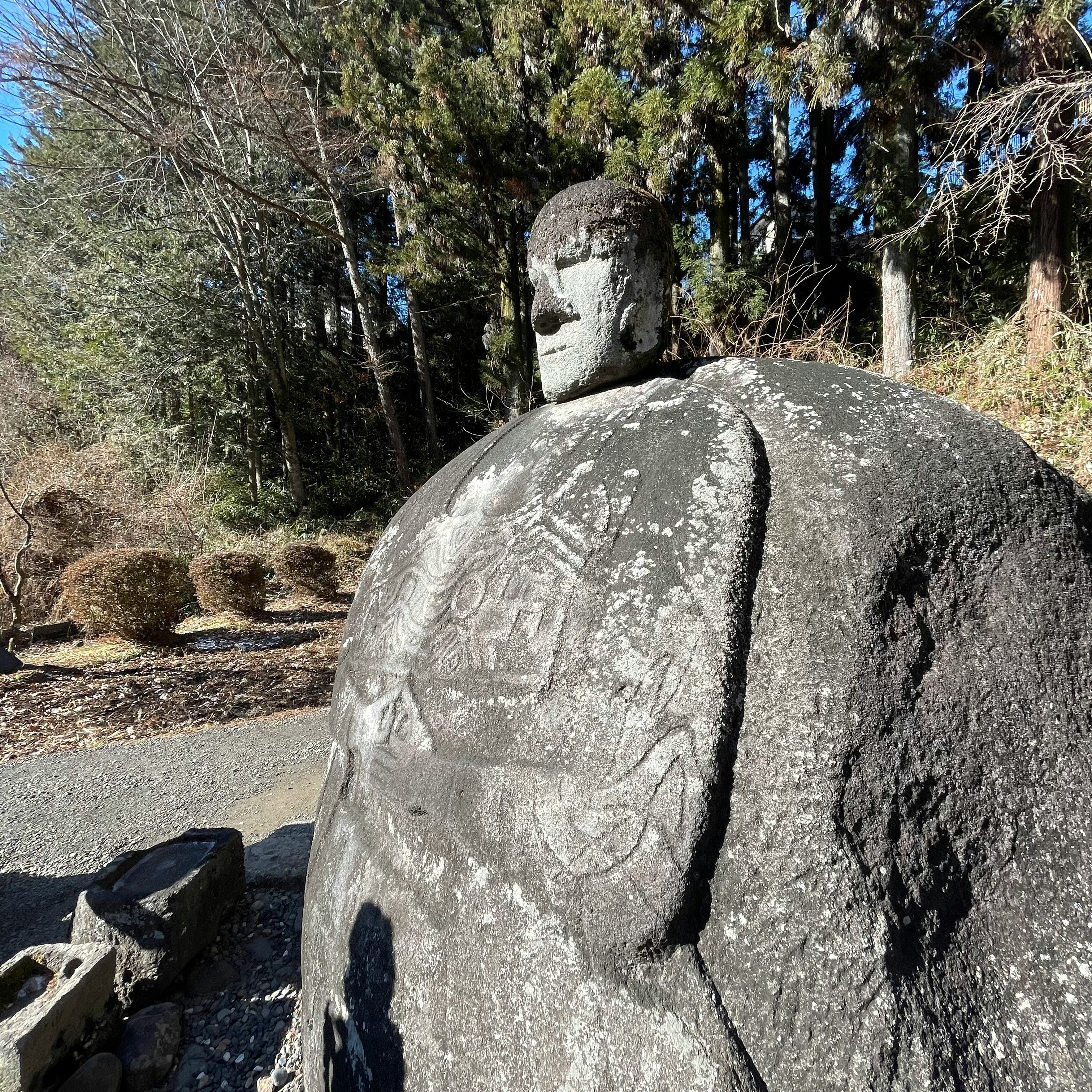 profil d’une grande statue de Bouddha en pierre dans une forêt