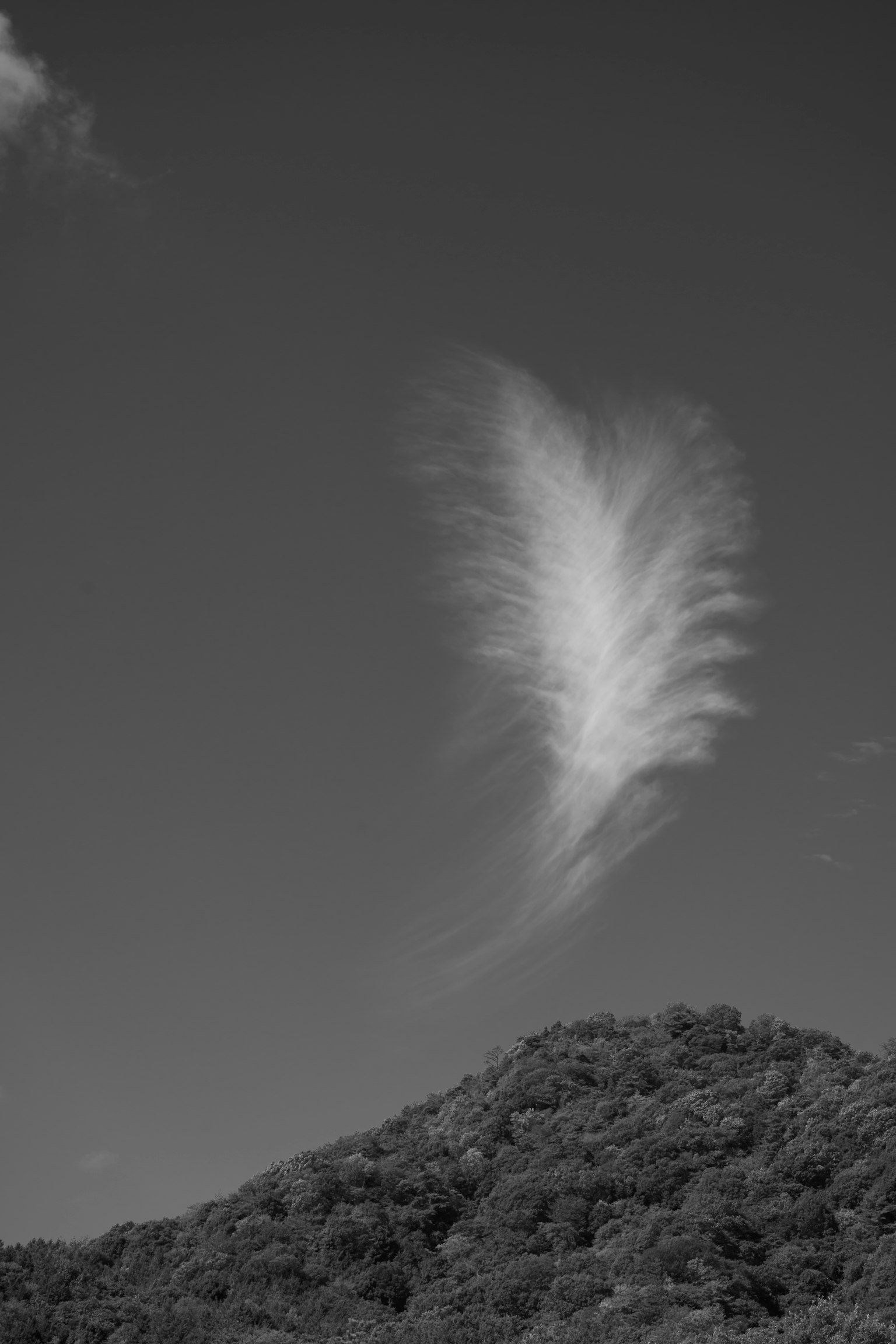 Nuage en forme de plume contre un ciel noir et blanc avec une silhouette de montagne