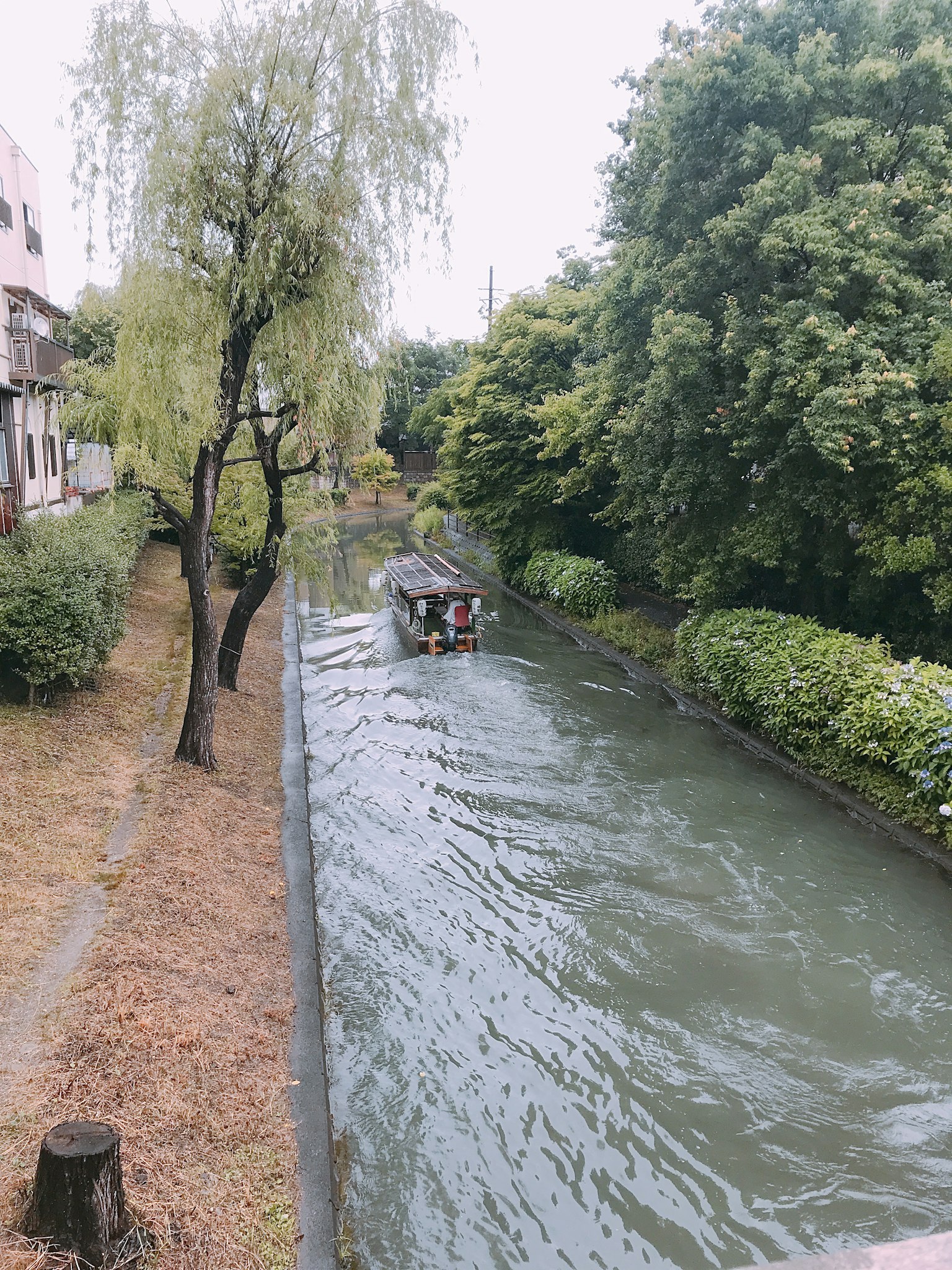 เรือที่ลอยอยู่บนแม่น้ำที่ล้อมรอบด้วยพืชพรรณ