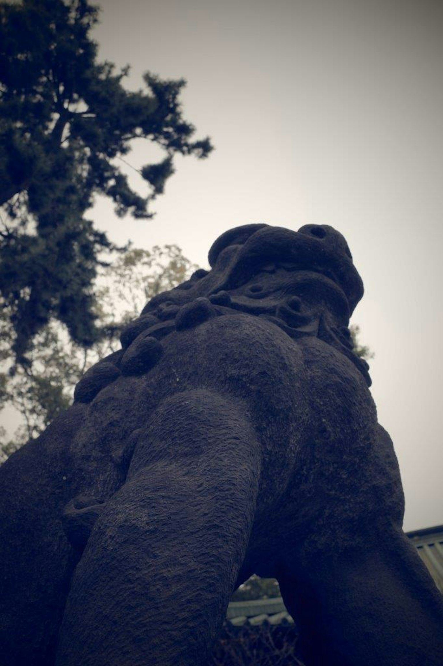 Photo of a black stone lion statue viewed from below