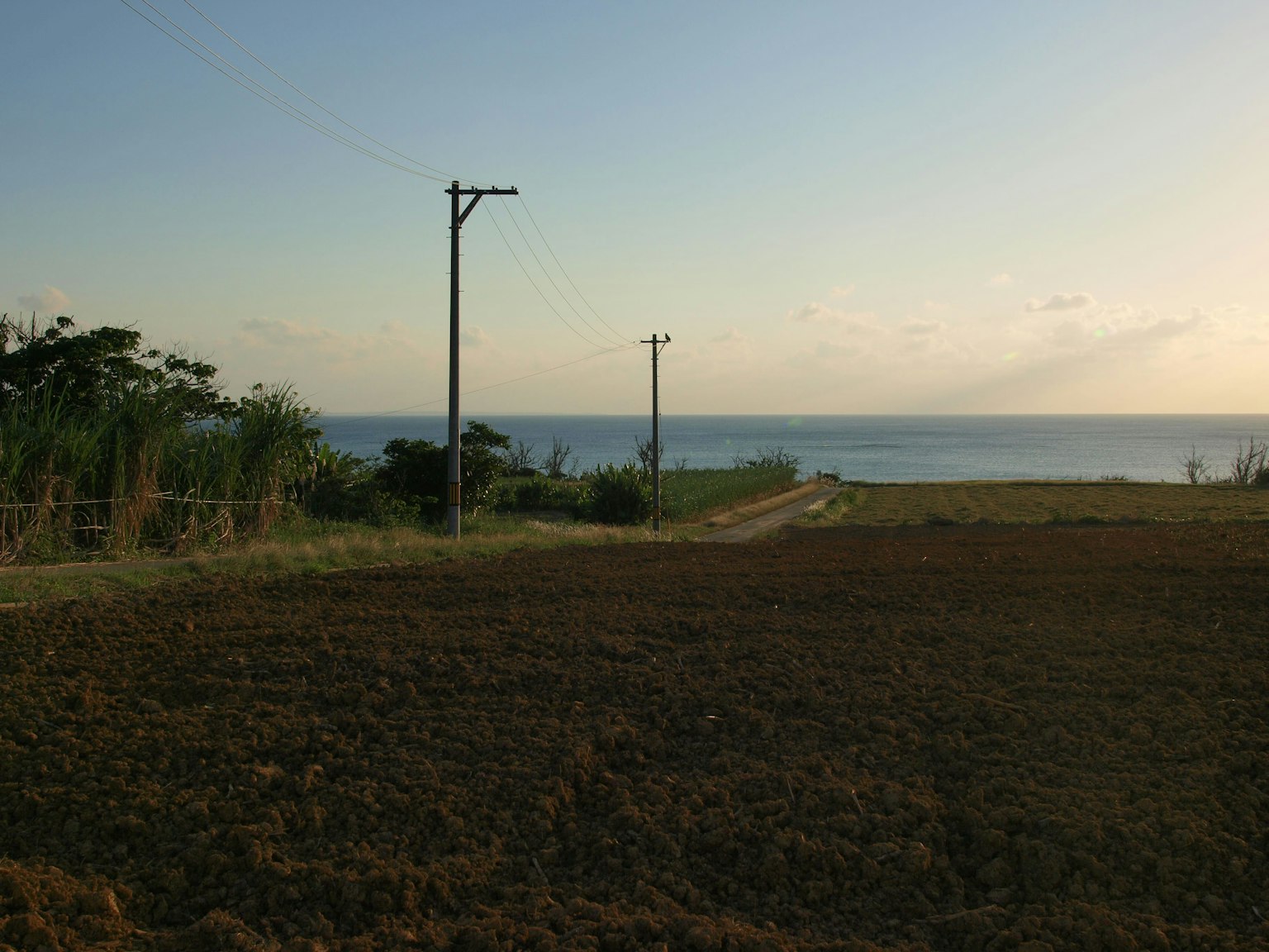 Pemandangan ladang dan tiang utilitas dengan latar belakang laut