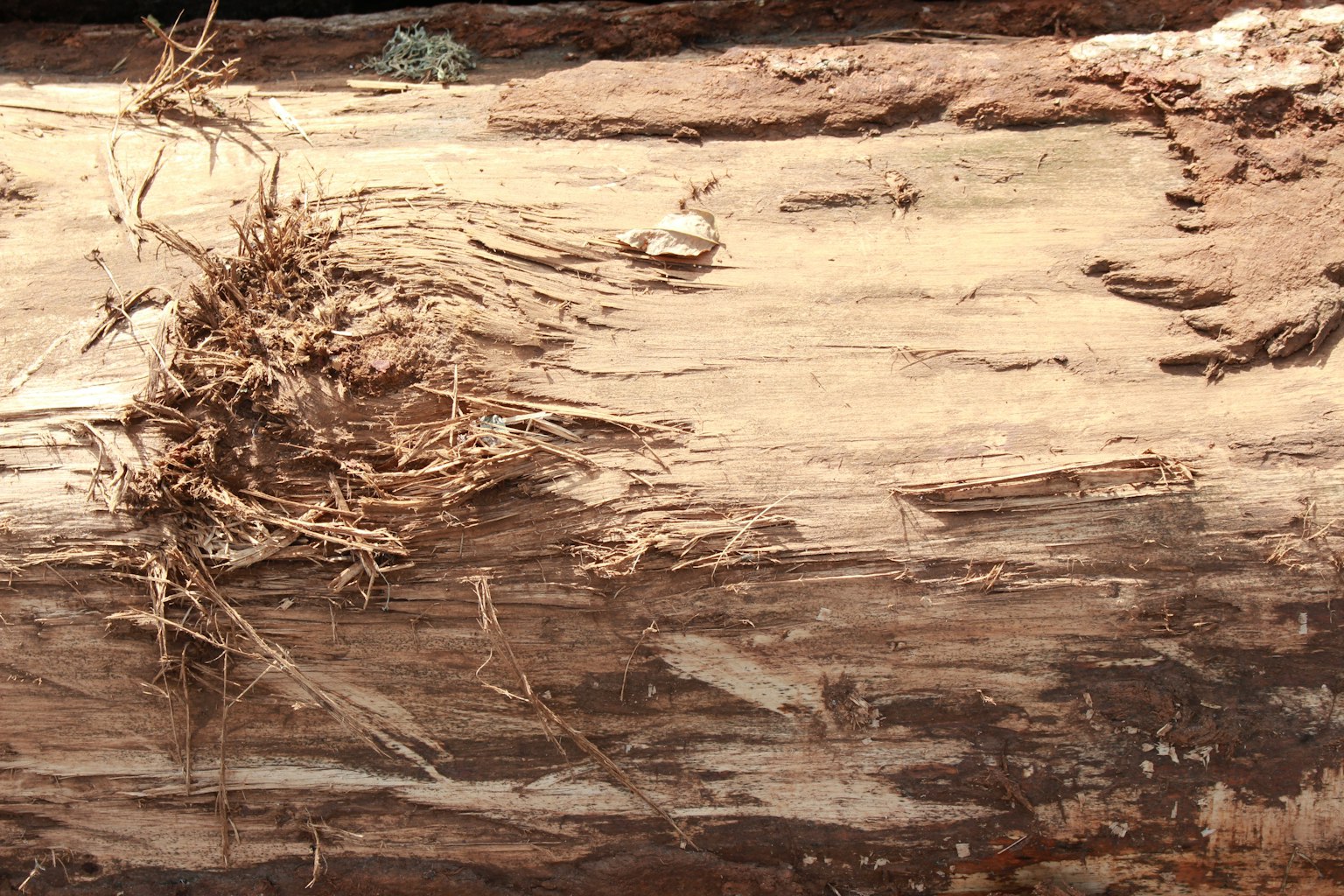 Surface de bois avec de l'herbe et des brindilles entrelacées