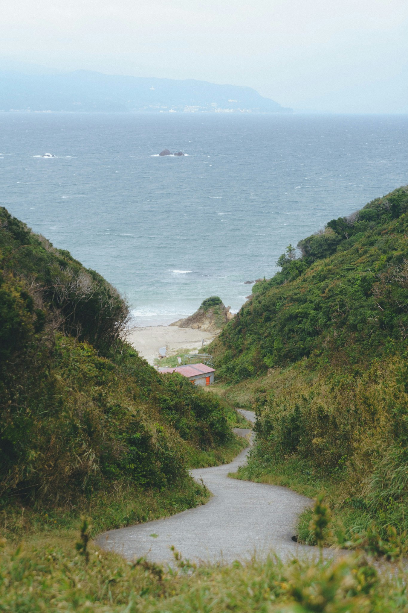 通往海邊隱秘海灣的小路景色