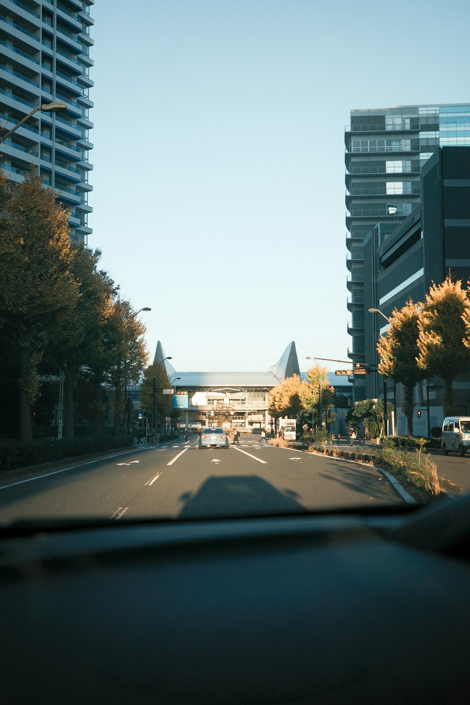 都市の道路を走る車の視点からの風景 高層ビルと秋の木々が並ぶ
