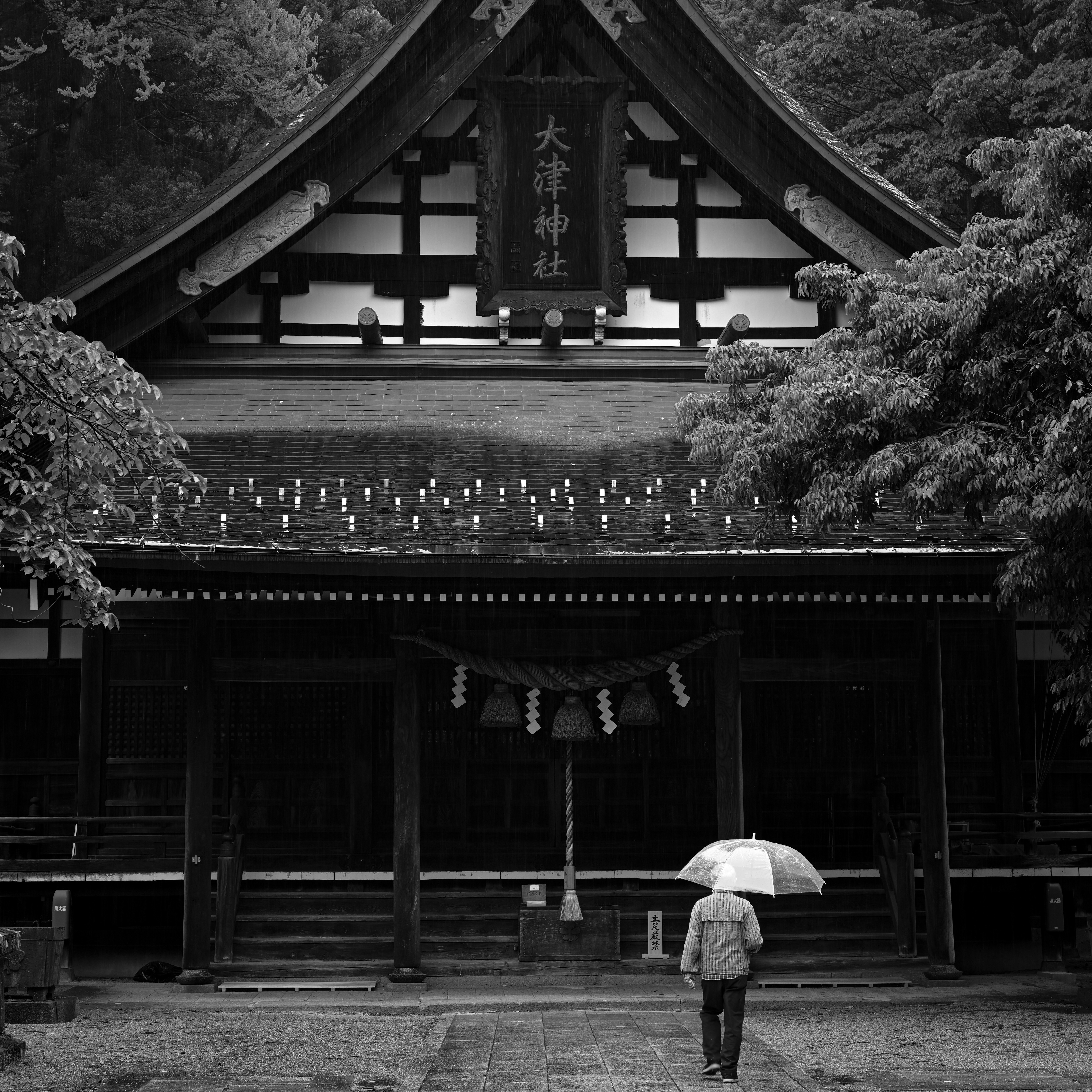 雨の中の傘をさす人物と神社の社殿