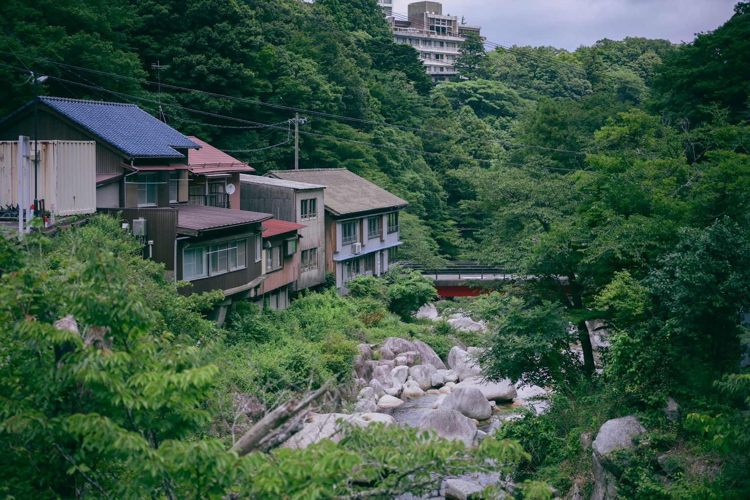 被郁郁蔥蔥的綠樹環繞的河邊房屋的風景