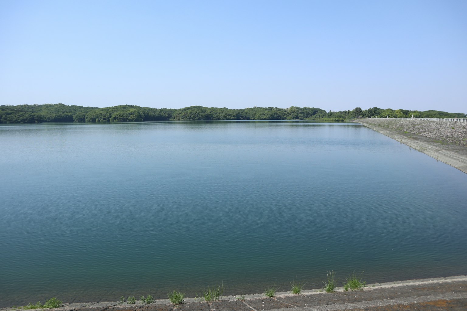 Lago tranquilo reflejando el cielo azul con vegetación exuberante al fondo
