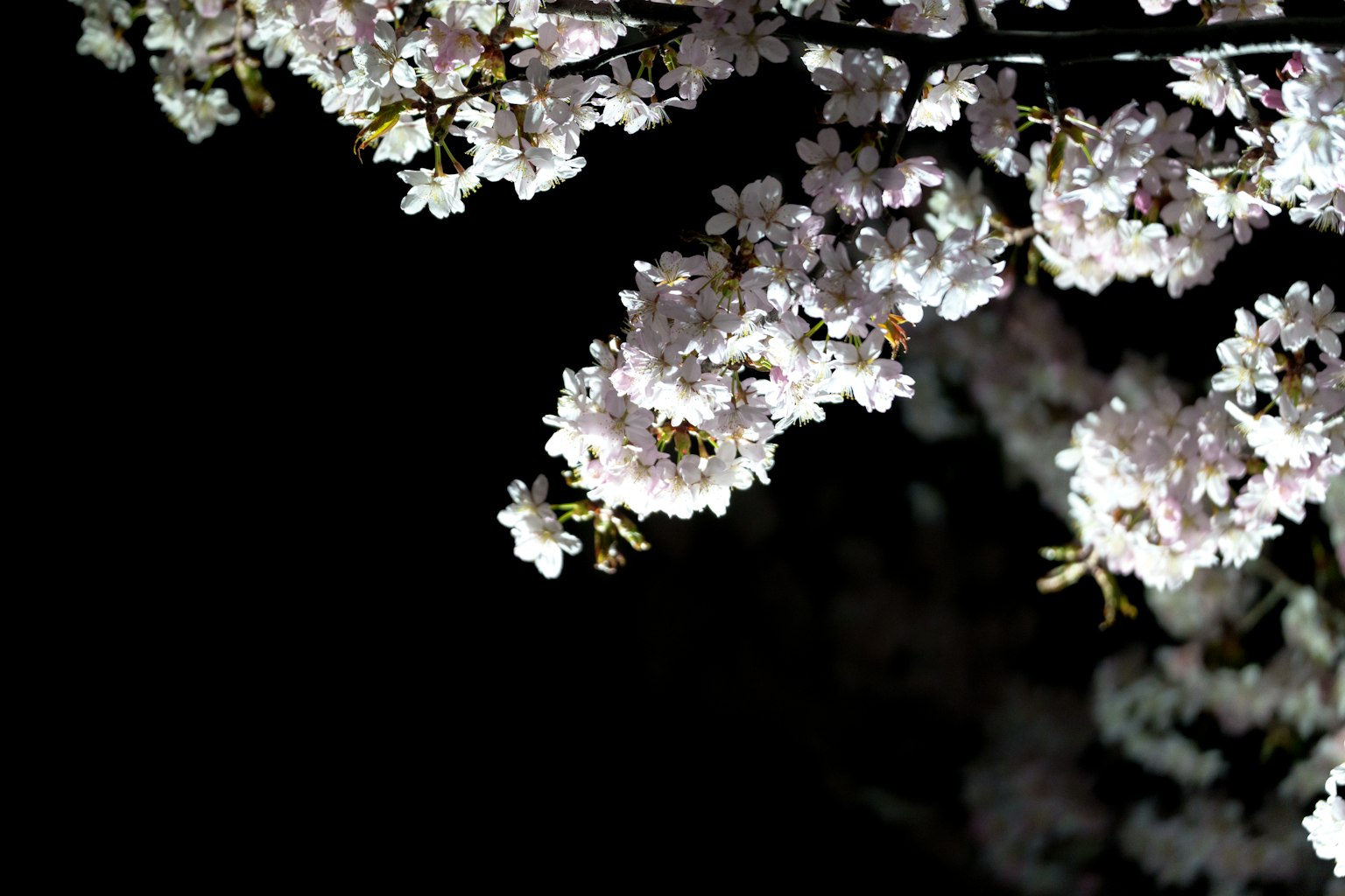 photo-3pgM7NqO7m6CSQPpJ6tb-image