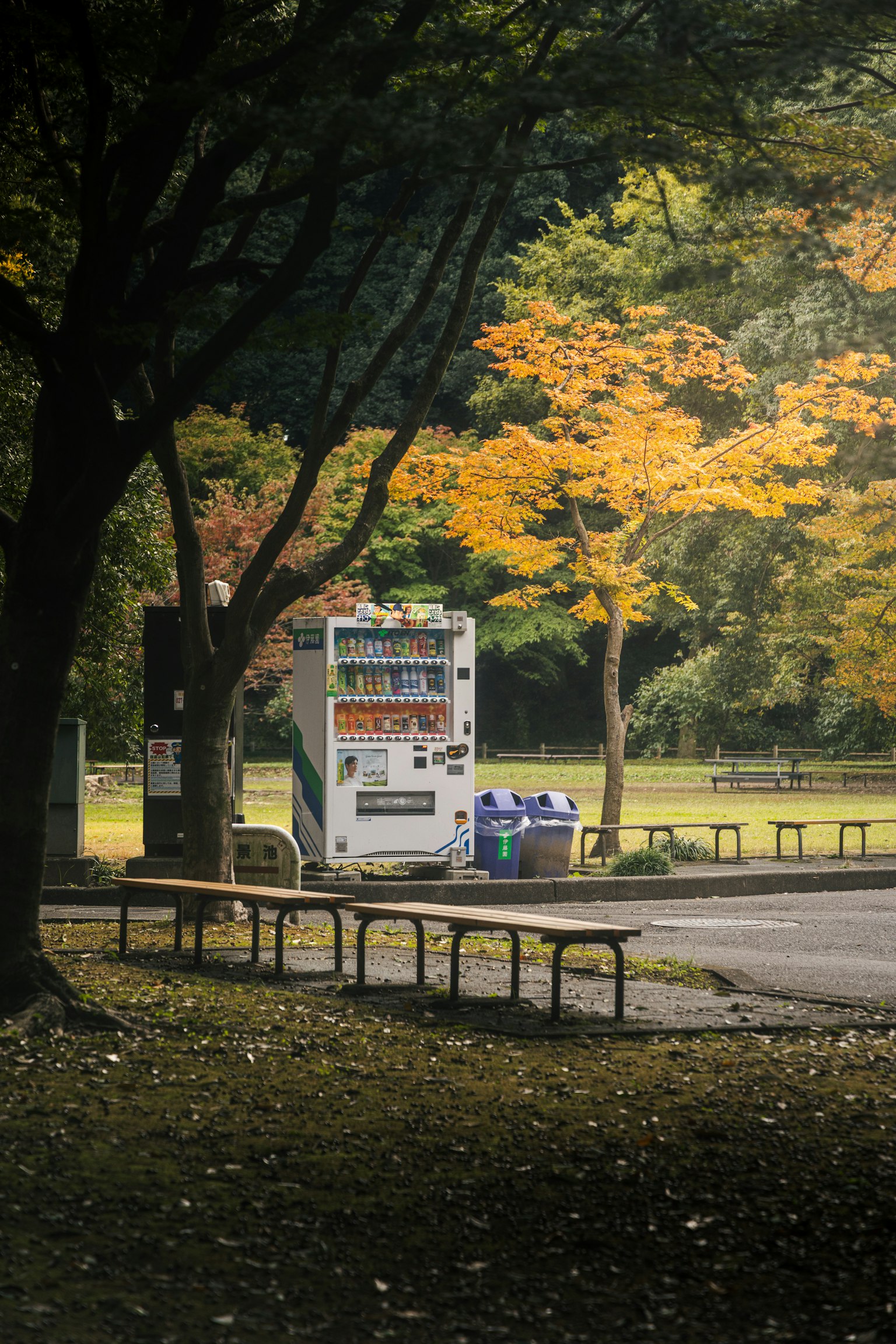 photo-3pjDFdYm9G7TkQxfq2tB-image