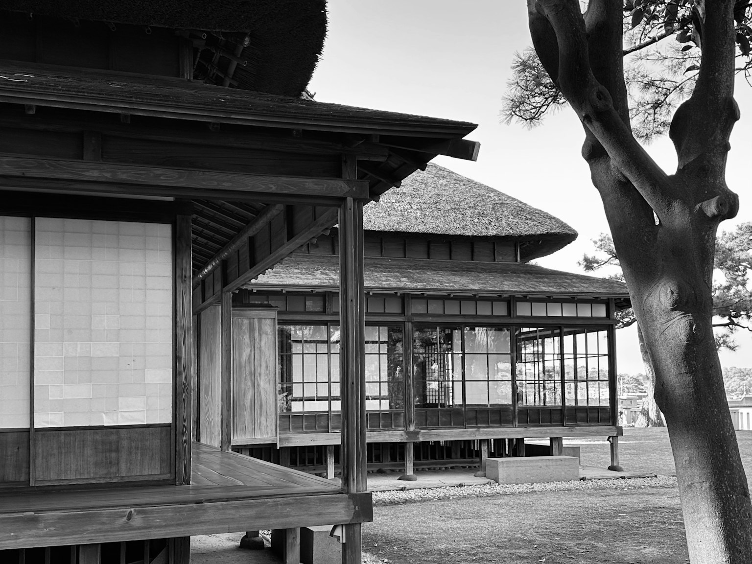 Black and white view of traditional Japanese houses featuring wooden architecture