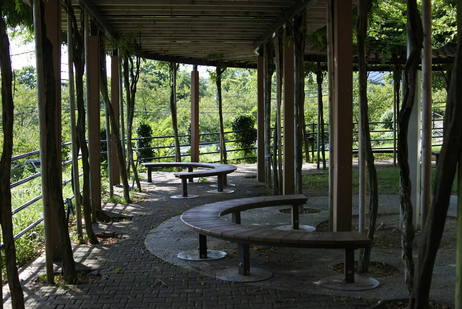 Panchine curve in un'area di sosta di un parco verdeggiante