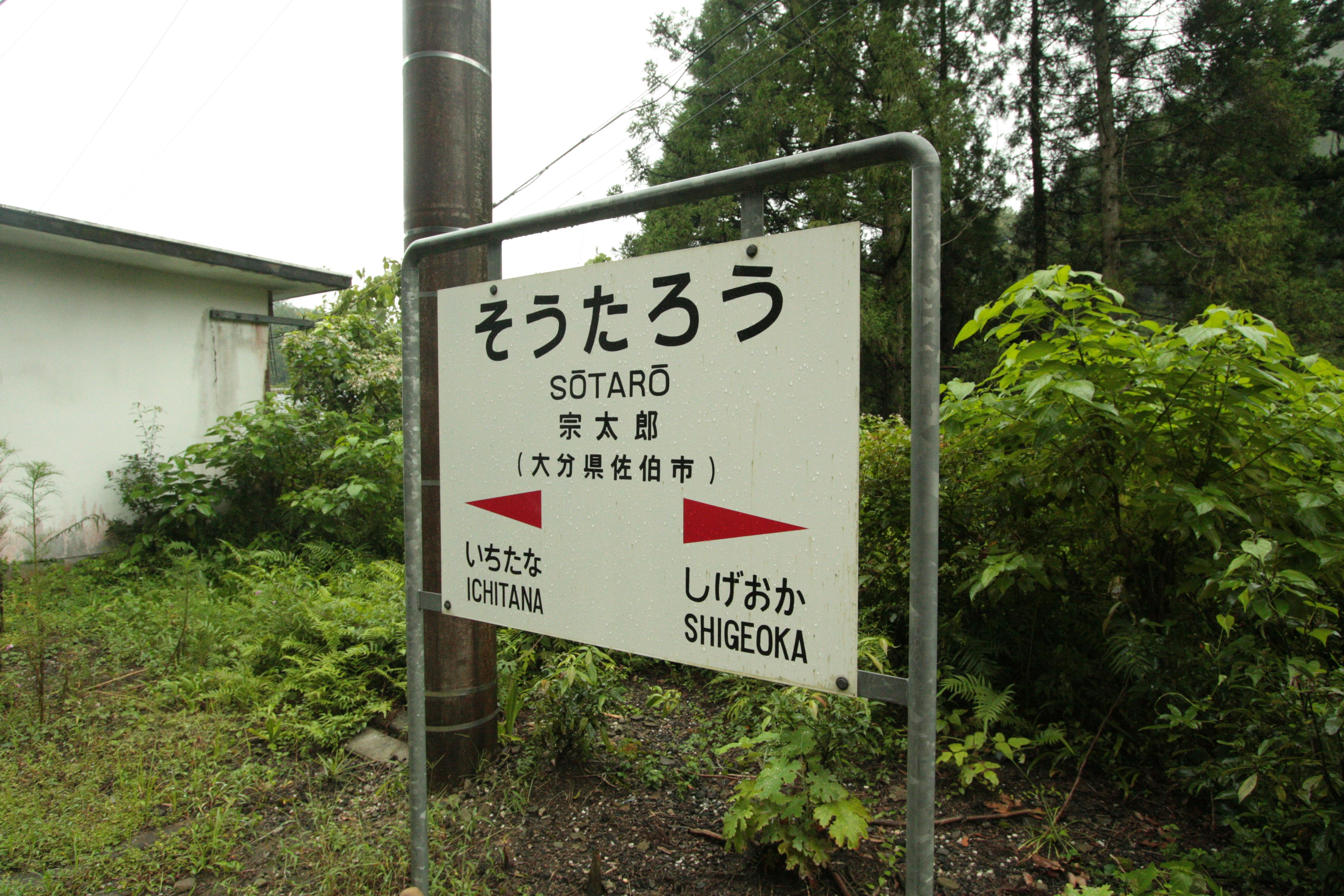 “Sotaro”公交站牌与绿色小路景