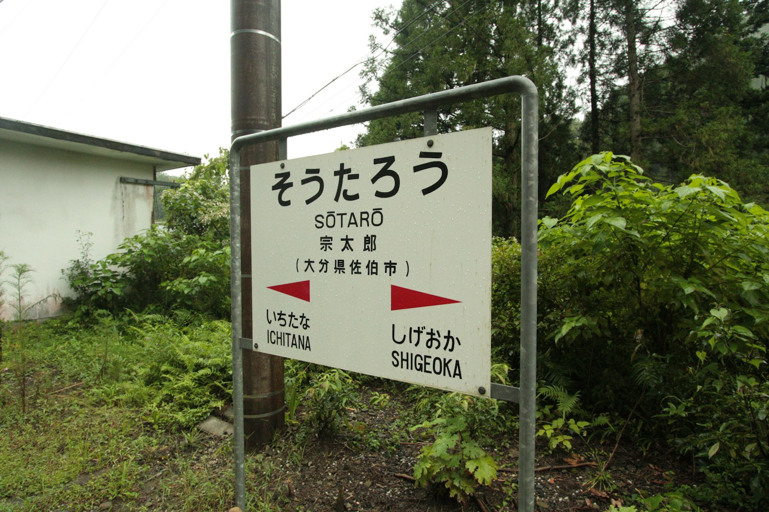 Segnale per Sotarou con indicazioni per Hokkaido e Shireoka circondato da vegetazione
