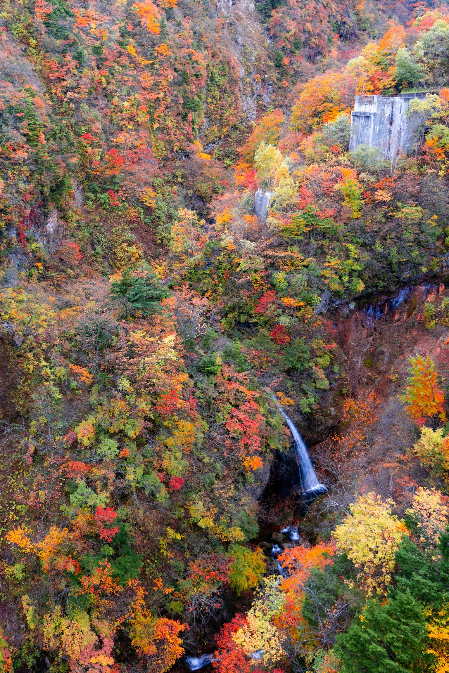 Splendido paesaggio autunnale con foglie colorate e una cascata