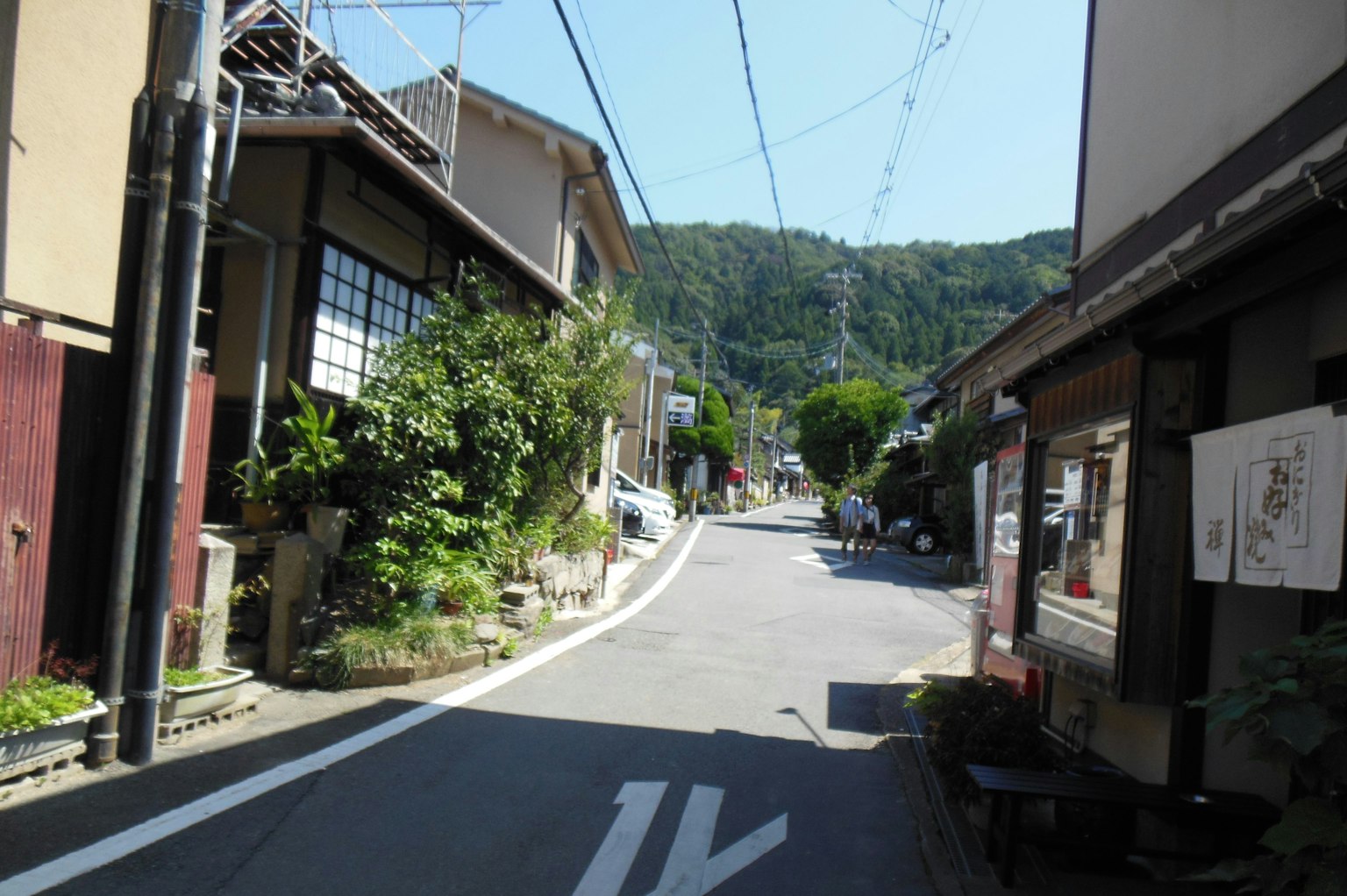 Calle tranquila con casas tradicionales y vegetación