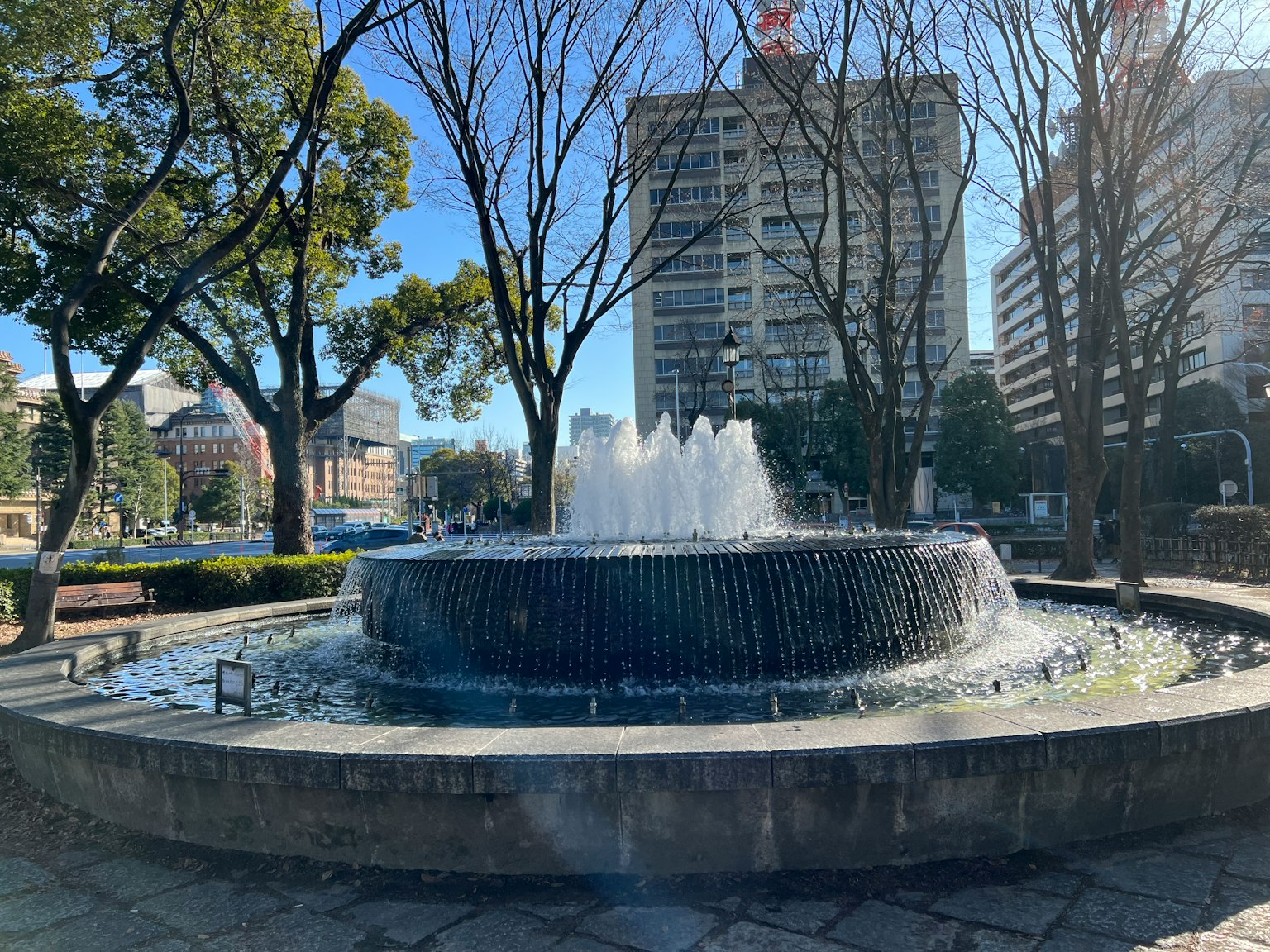 公园中的喷泉，周围环绕着树木和建筑