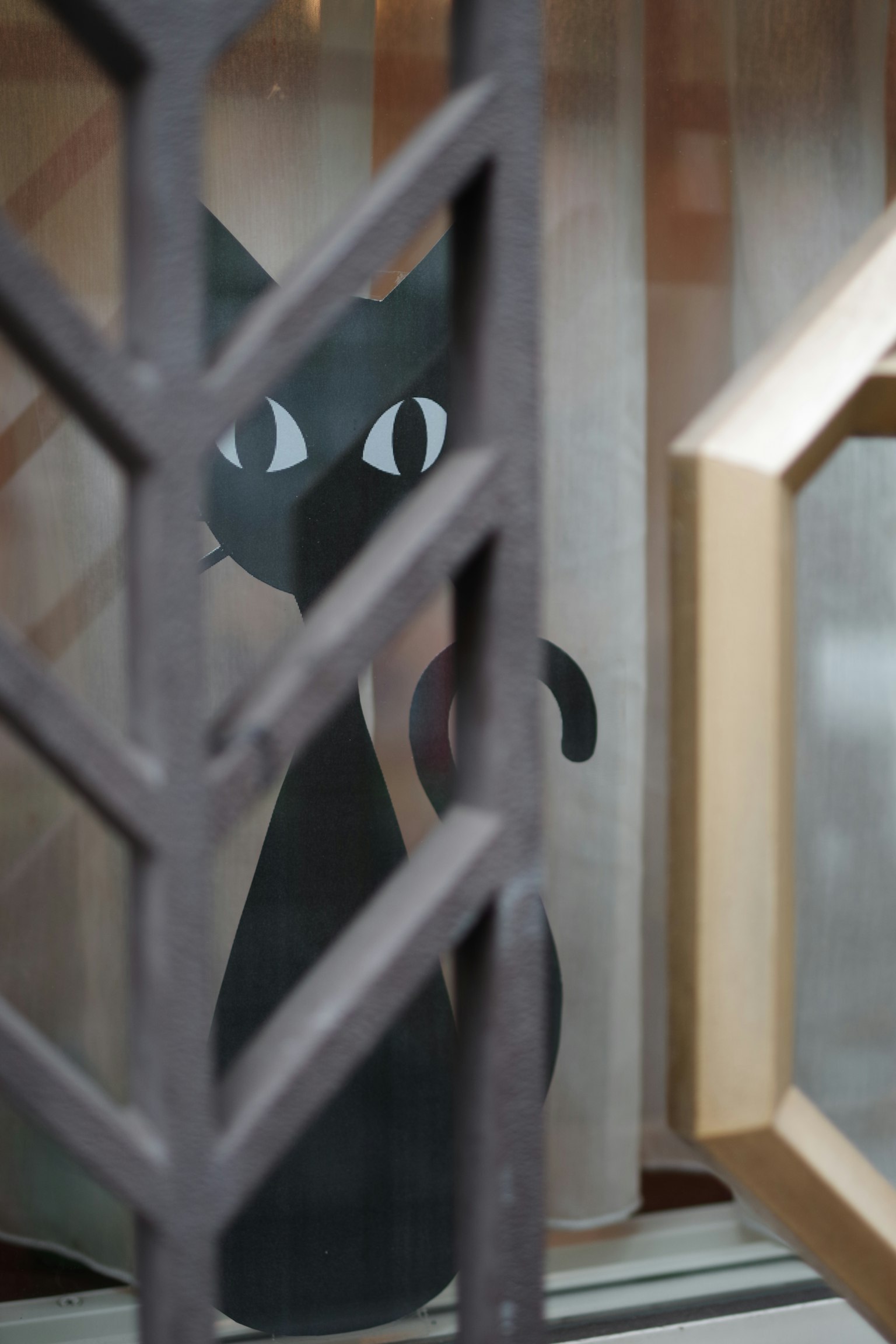 Silueta de un gato negro visible a través de una cortina