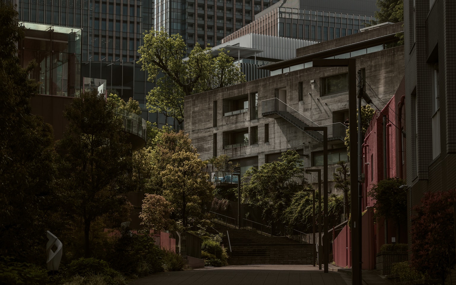 郁郁葱葱的街道与现代建筑