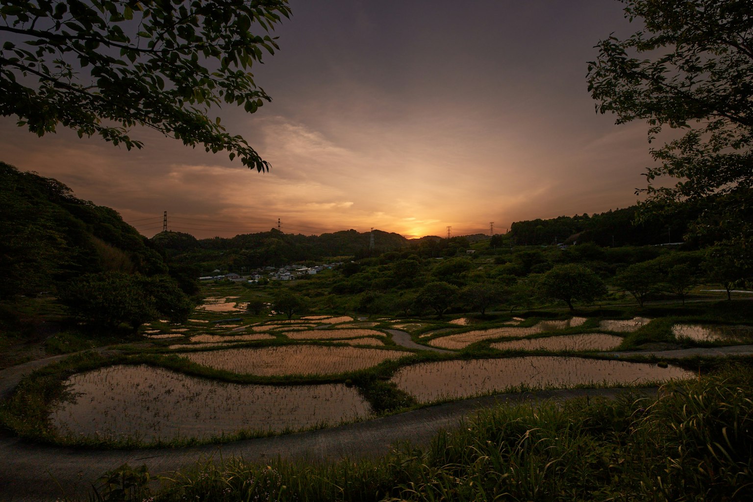 日落時的梯田美景，寧靜的氛圍
